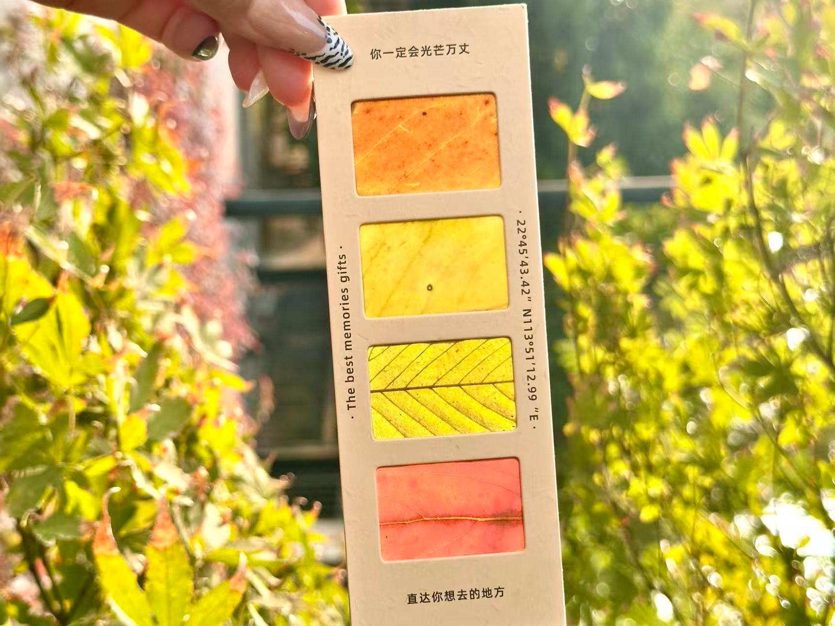 同学们收集校园里各色落叶制作成光影书签与翻转胶片。对着光线轻轻翻转，生命成长的细致纹理清晰可见，感受自然静谧与时光之美