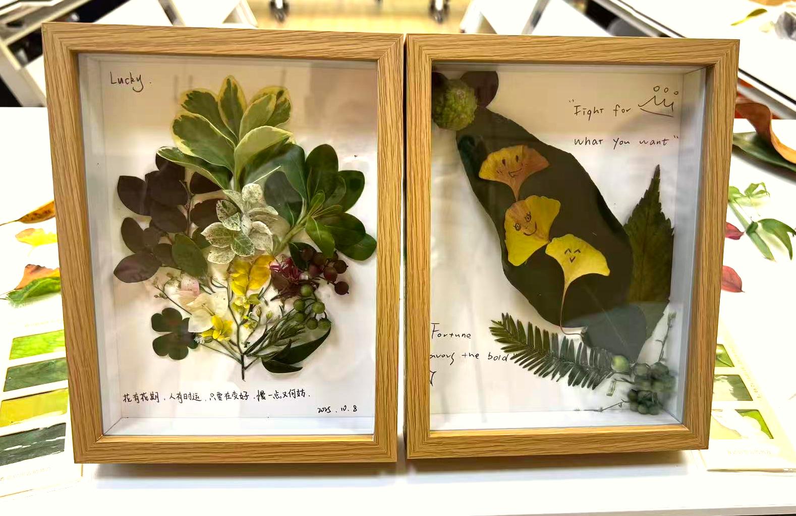 寒露拾秋活动中，同学们以秋叶、枯枝、落果等自然元素为媒介，在专注的修剪、拼贴与构思中，零散的自然元素在相框中重获新生。