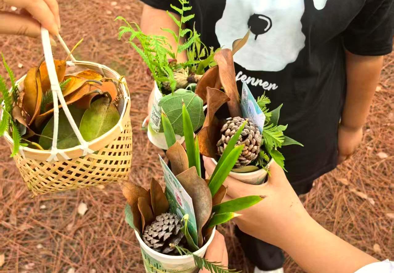 在教师的带领下，同学们展开了一场充满诗意的School Walk，认识校园秋色植物，感知秋日色彩的层次之美。