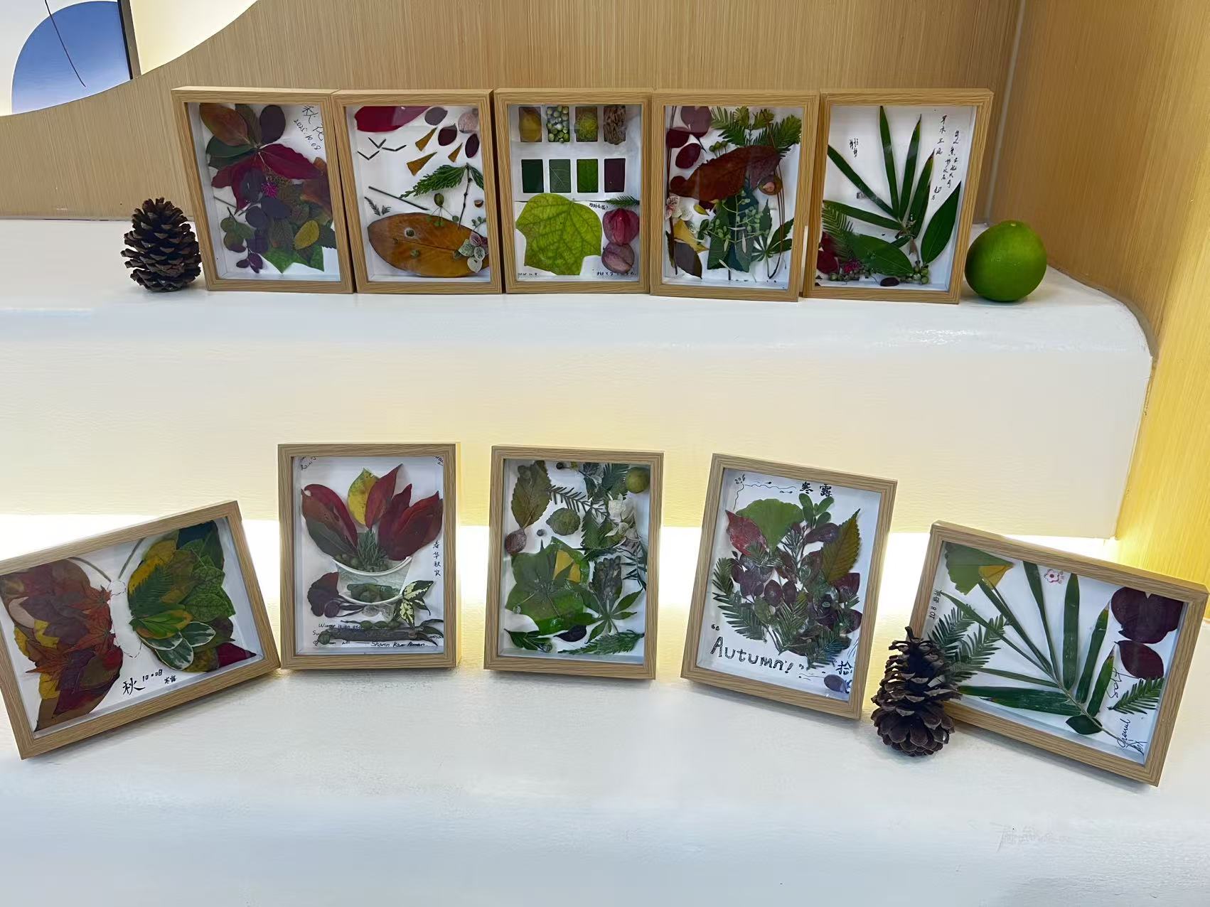 寒露拾秋活动中，同学们以秋叶、枯枝、落果等自然元素为媒介，在专注的修剪、拼贴与构思中，零散的自然元素在相框中重获新生。