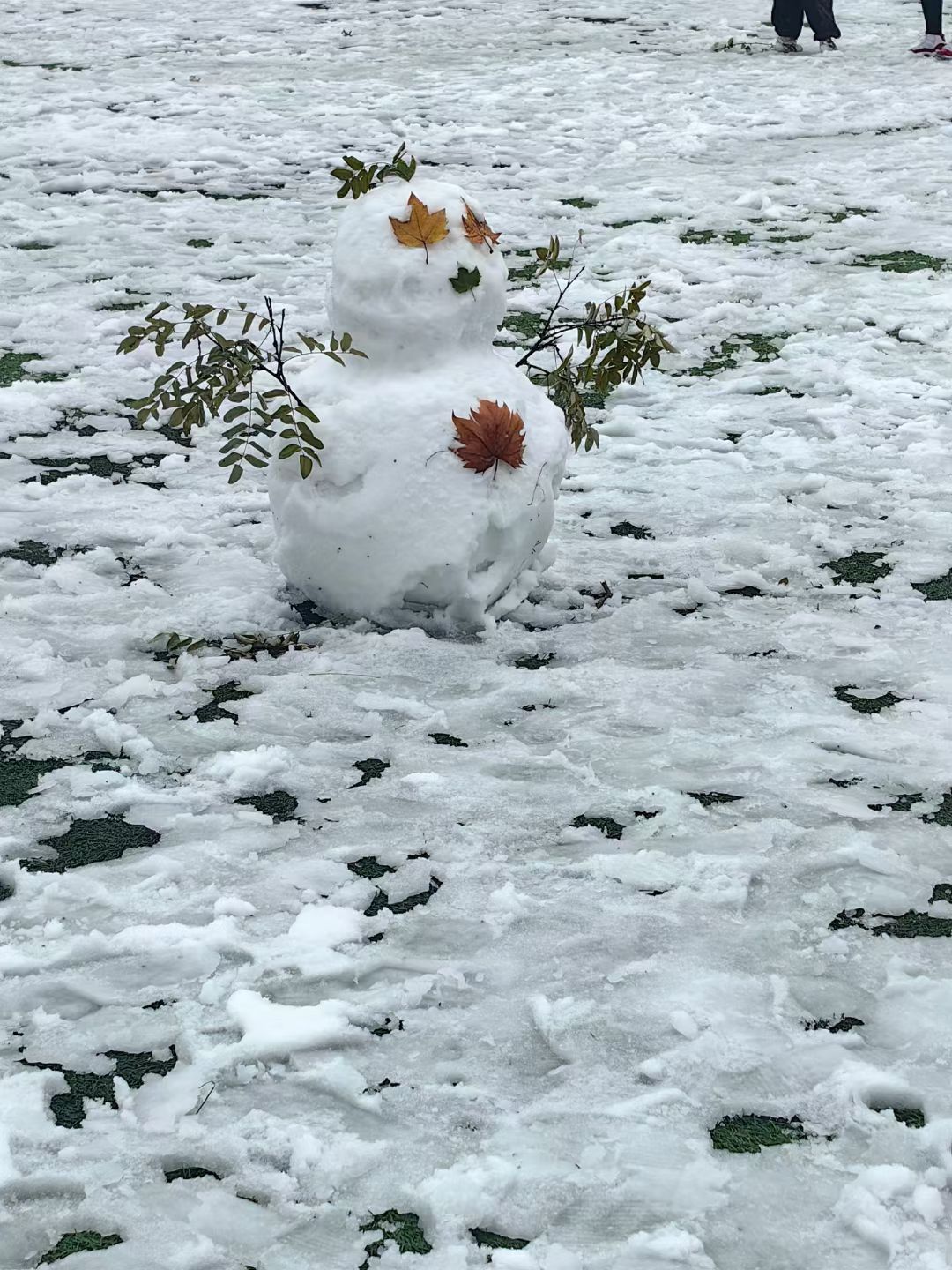 雪裹残枫堆成的小像，是秋冬撞个满怀的温柔。蹲在雪地里捏雪团时，风都轻了些，原来冷天也能攥出暖意。