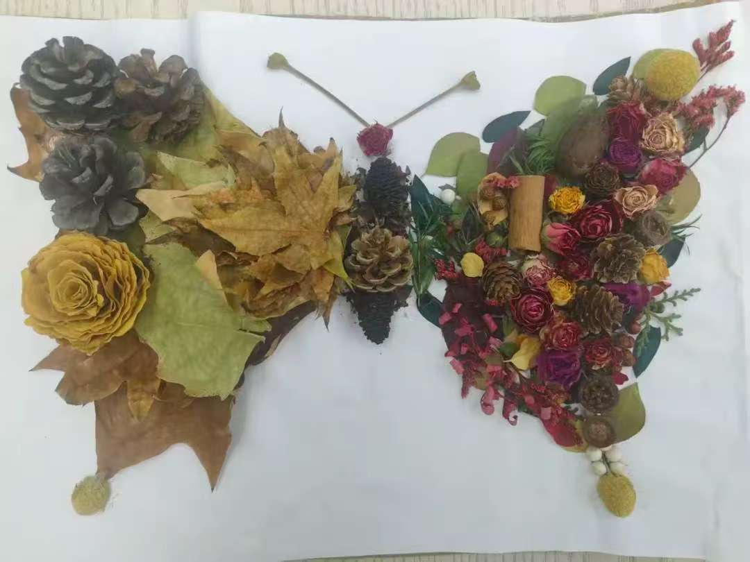 秋光漫野，俯身拾叶，掌间落满金枫与绛蕊。风摇松果轻颤，捡一杯秋的碎光，揉作指间温柔的诗行。-

张婉玉