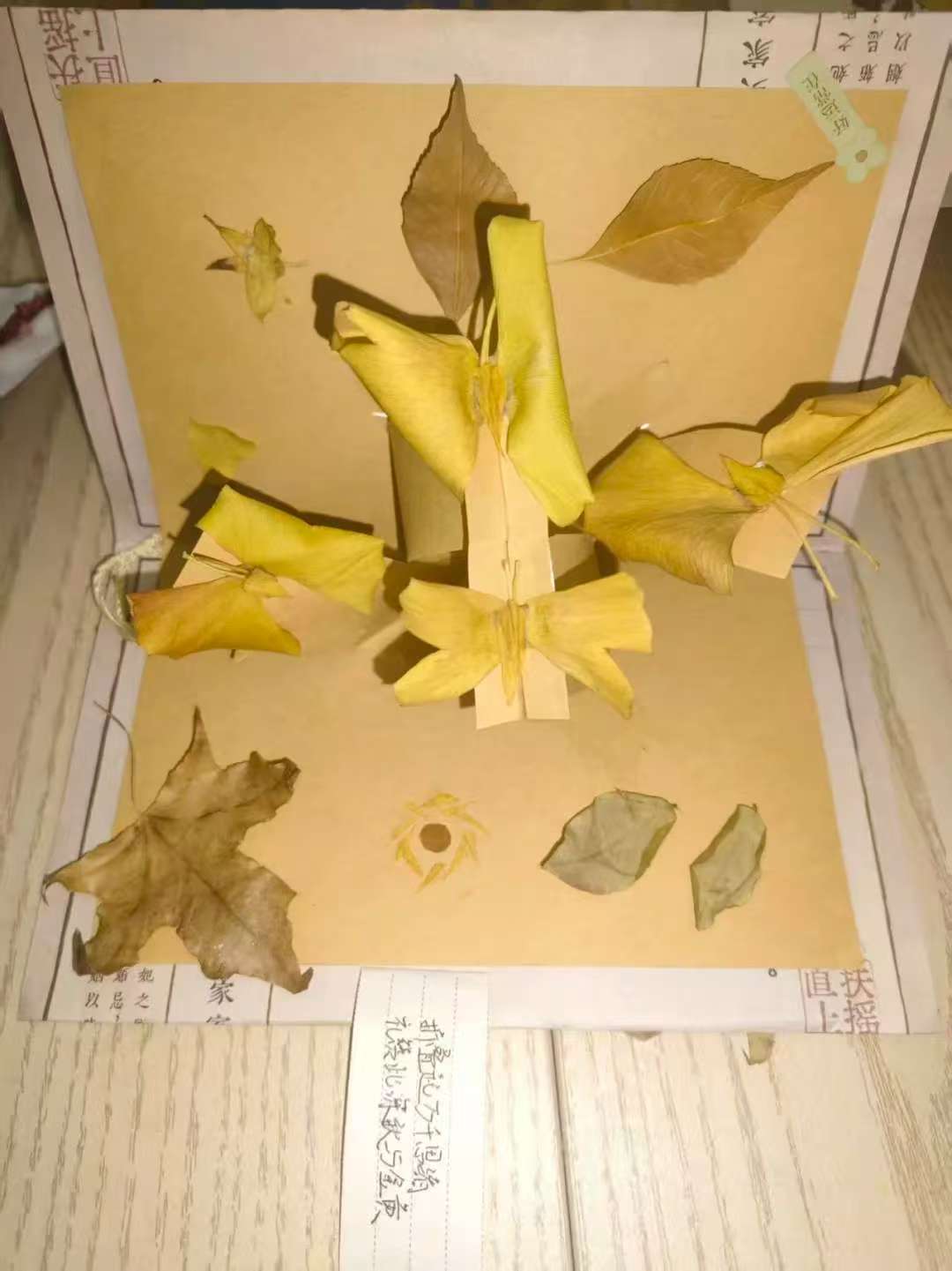 折叠起万千思绪礼赞此深秋与金黄