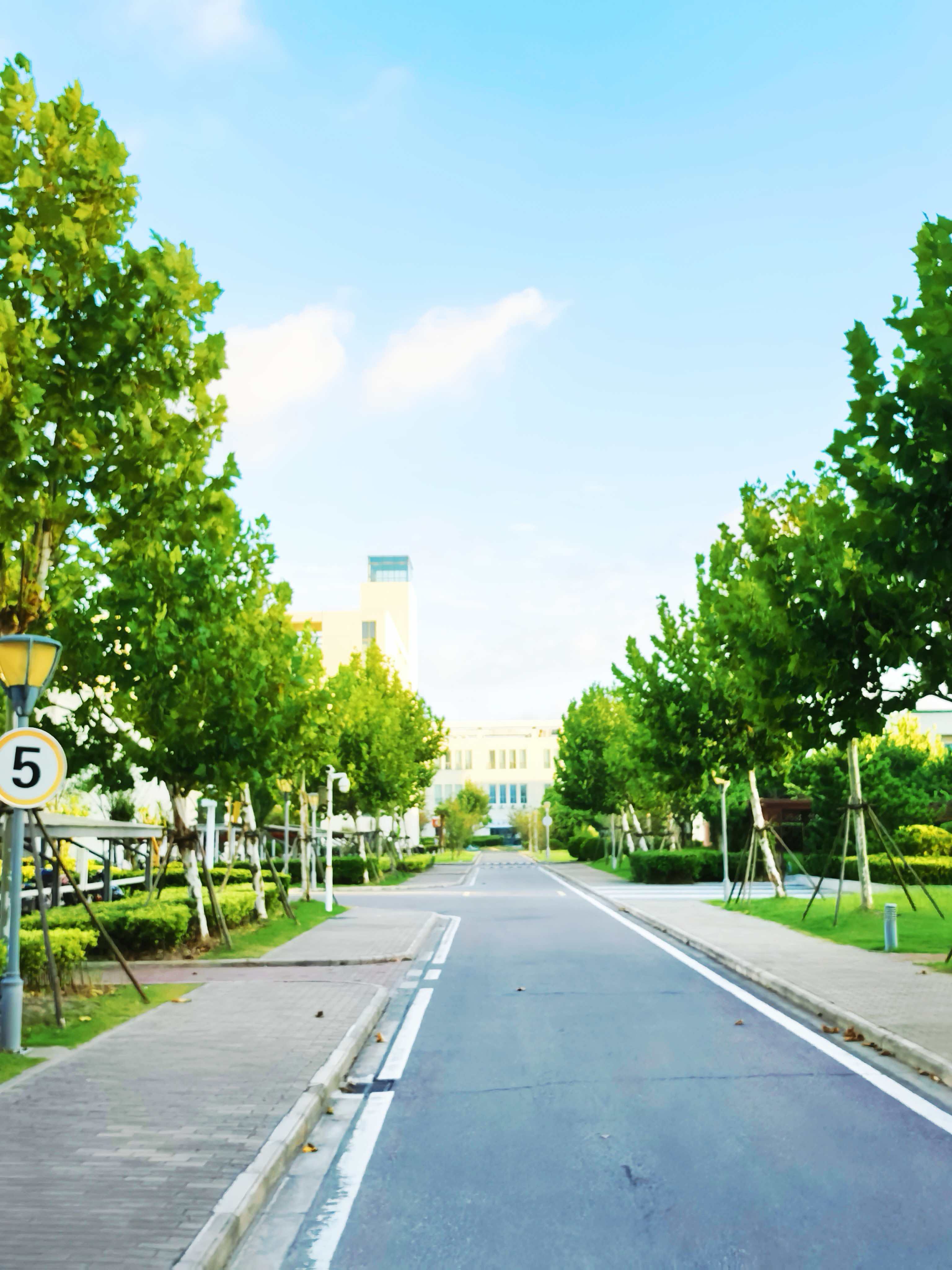 初踏大学校园，秋风渐起。梧桐立、天湛蓝，满是青春意。秋日正好，天高气爽，云也轻轻，风也朗朗。