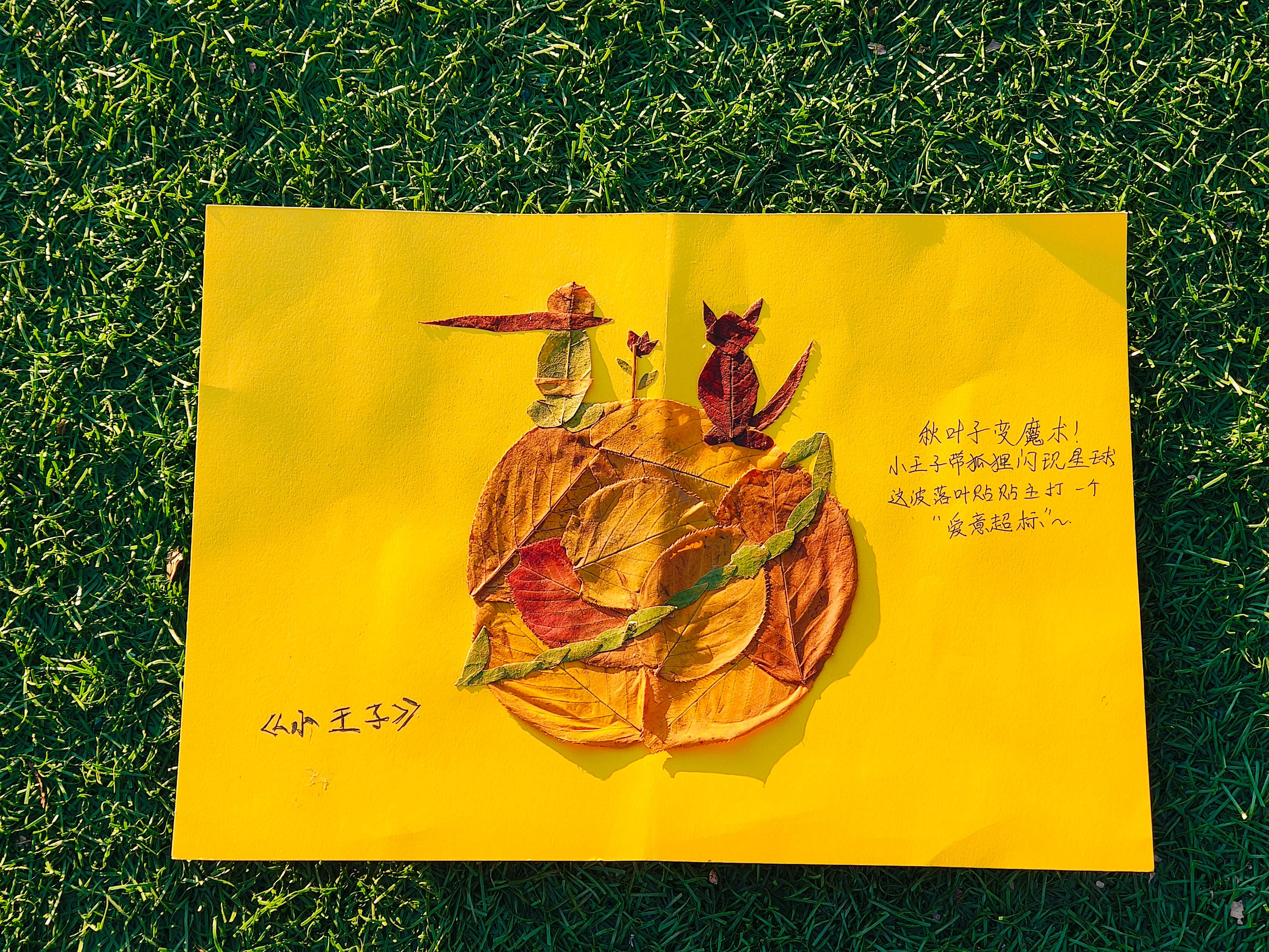 秋叶子变魔术
小王子带狐狸闪现星球
这波落叶贴贴主打一个“爱意超标”～ 