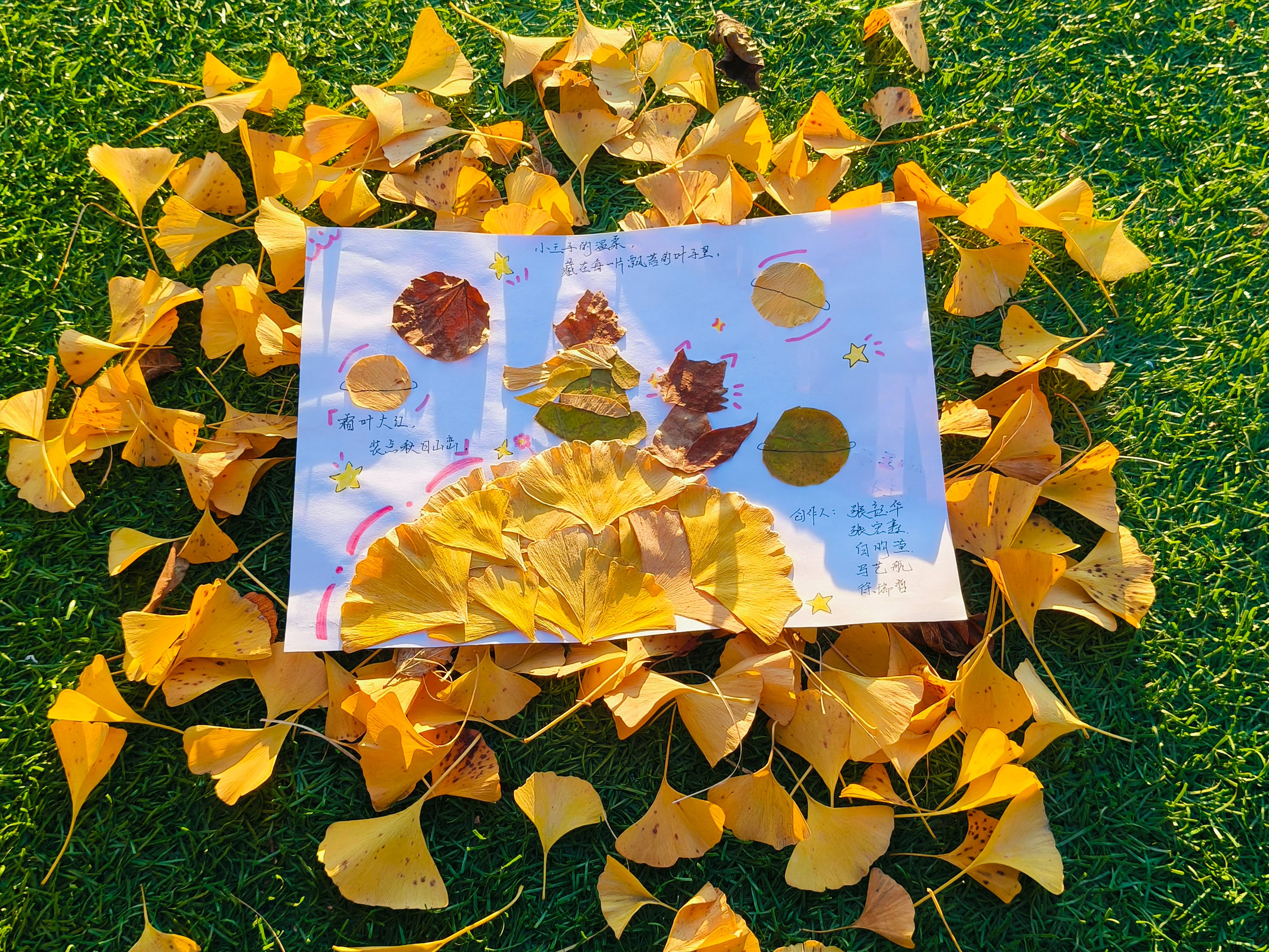 真正的珍贵从不是远方的星星，而是眼前那个需要你用心浇灌、耐心陪伴的存在。 