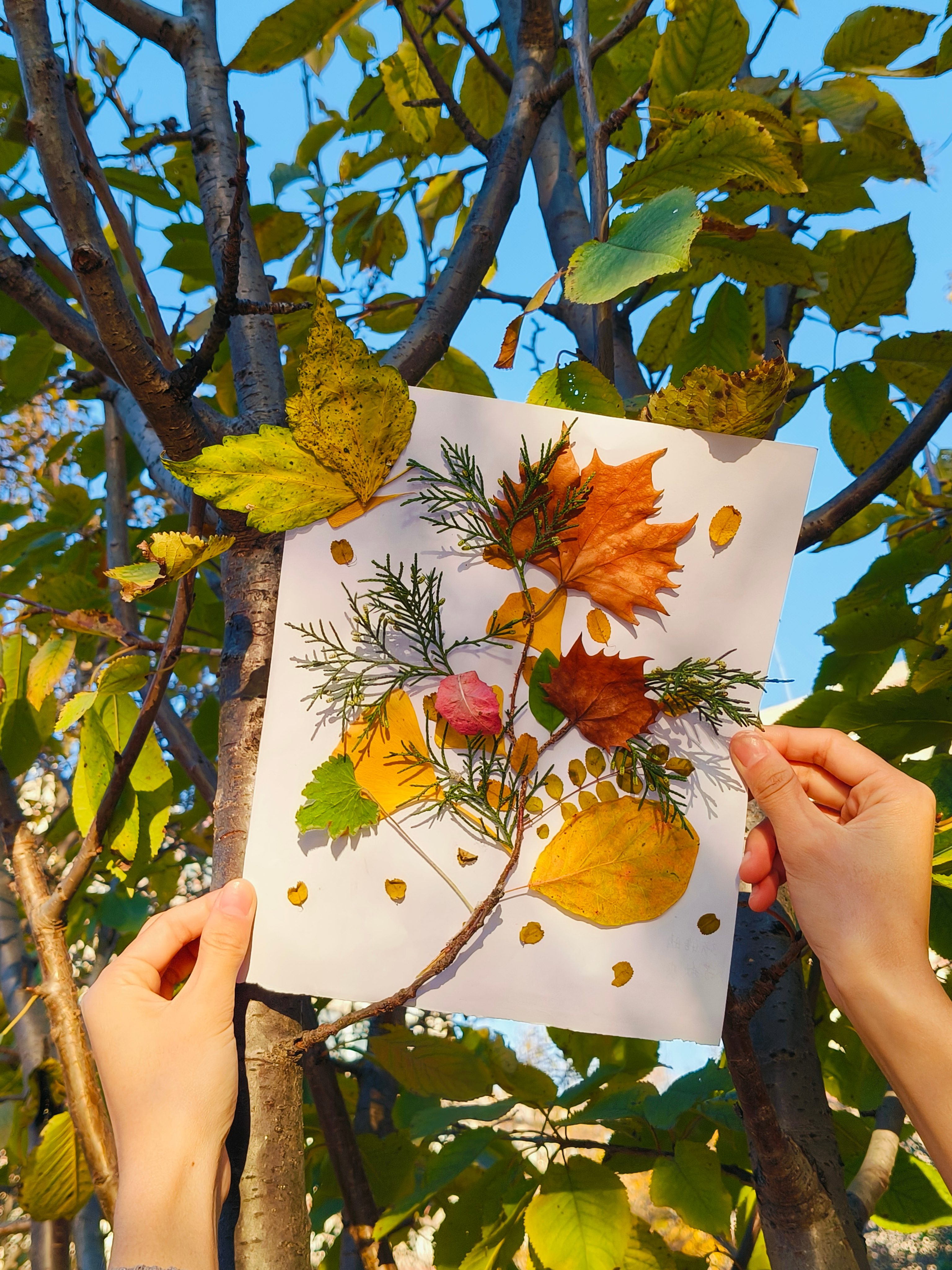 所有的成长都伴随着蜕变的勇气，那些看似艰难的时刻，终将让我们挣脱束缚，遇见更自由、更闪耀的自己。 