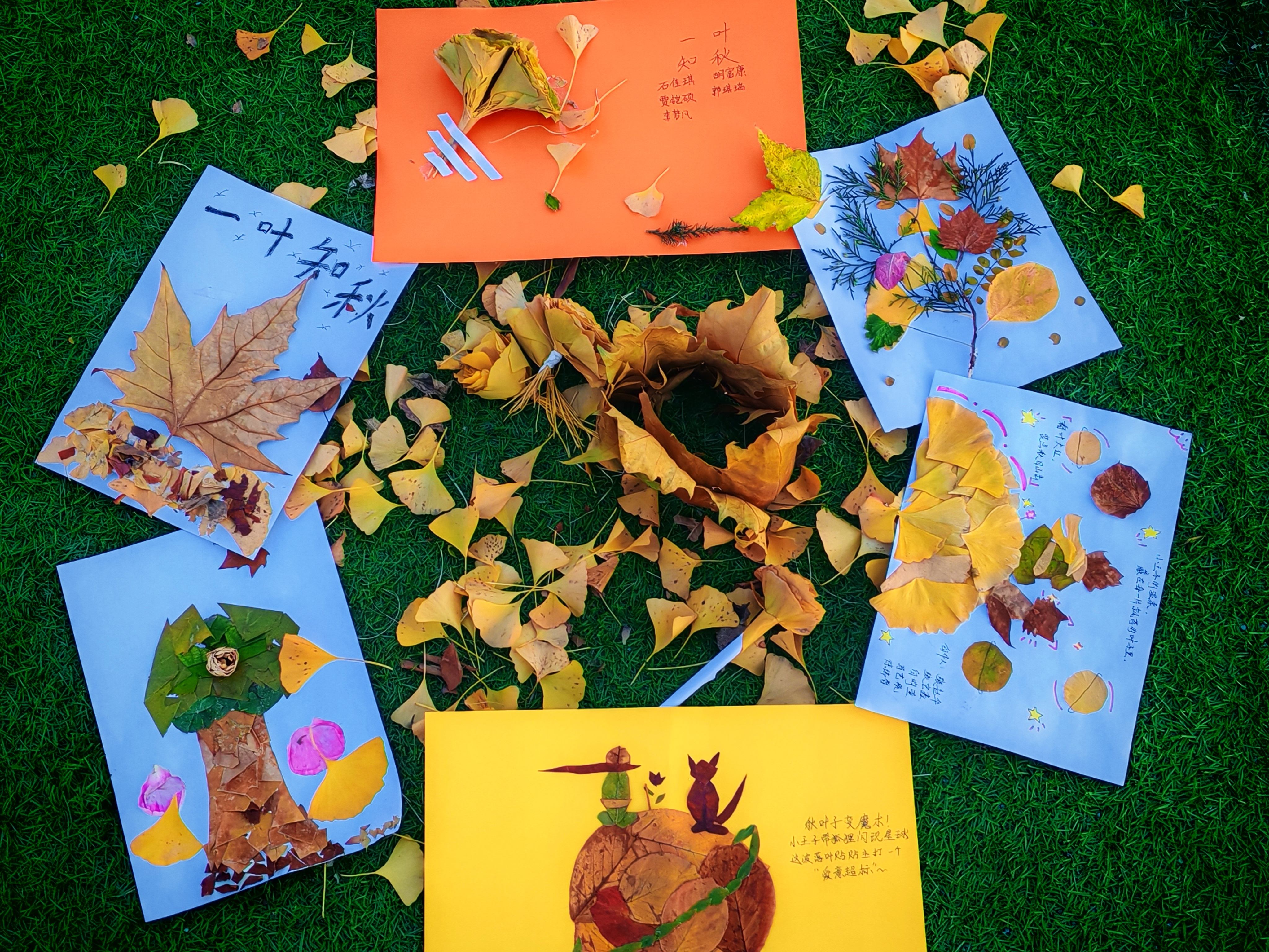 捡秋是与季节的约会，一片落叶、一颗野果，都是秋的馈赠。