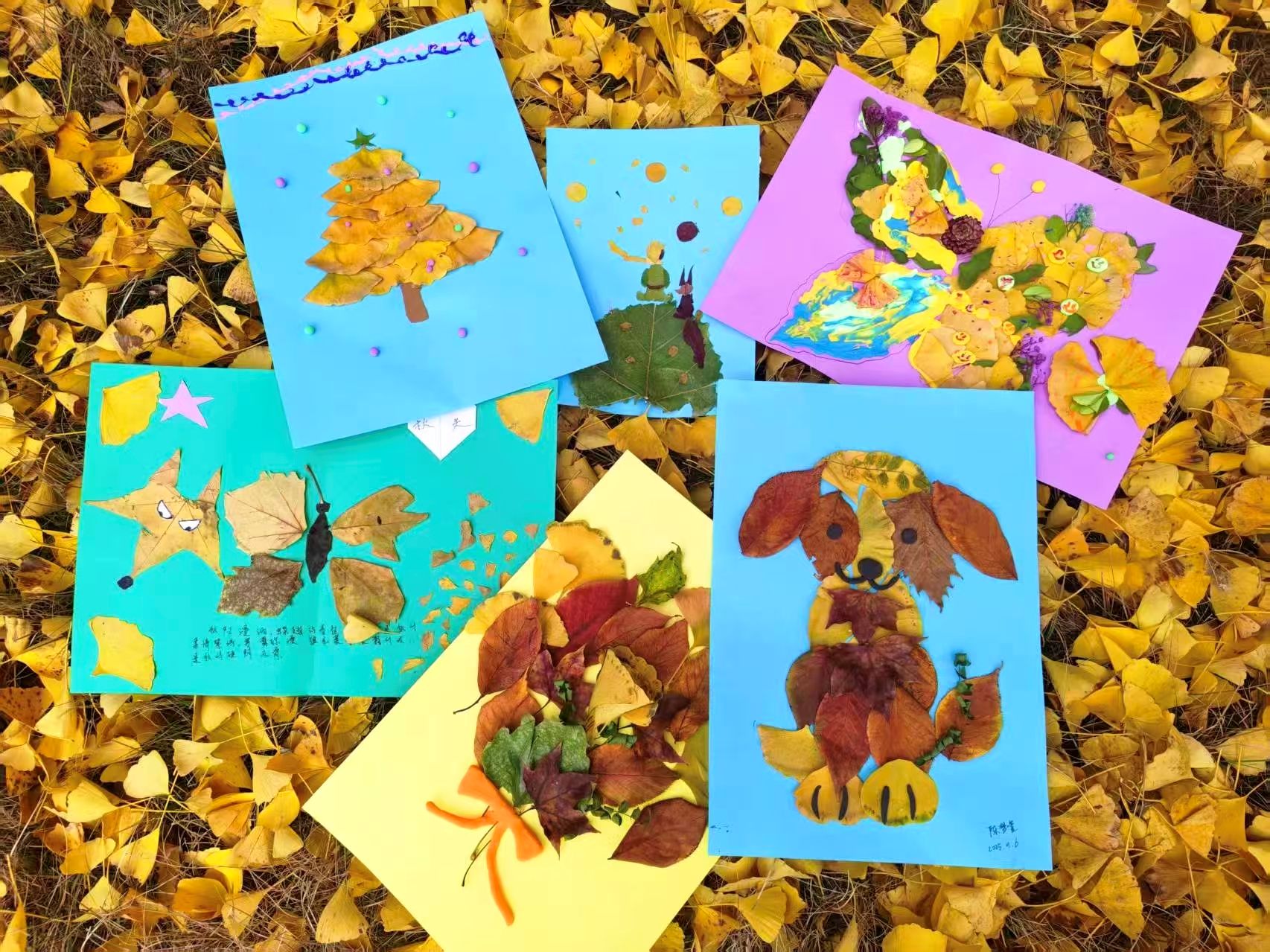  捡秋不是收获，是收藏生活的小确幸，每一片落叶都藏着秋的情话。 