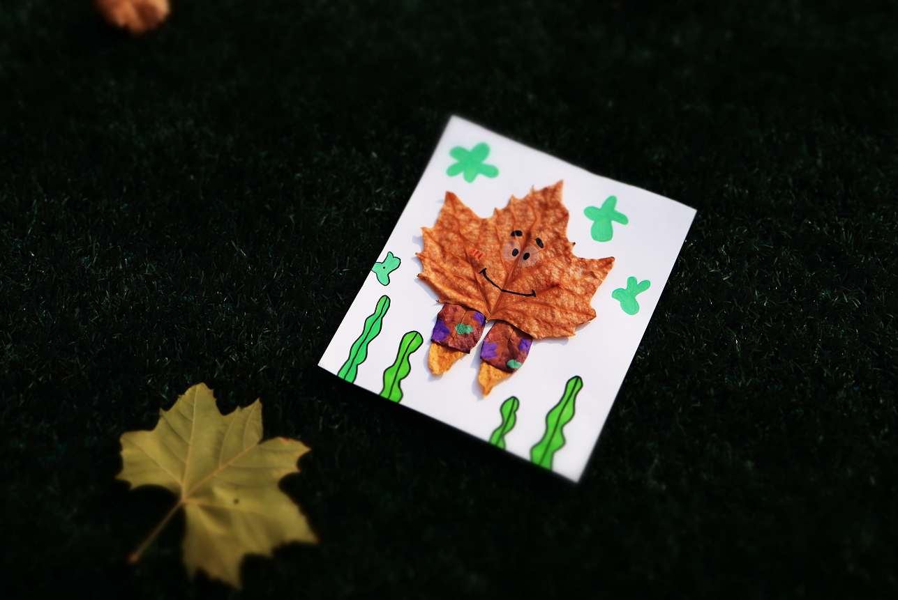 用枫叶拼出带笑的派大星，缀上彩饰、衬着秋草与黄叶，把秋冬里的俏皮心事，藏进这帧温暖的自然手作中。