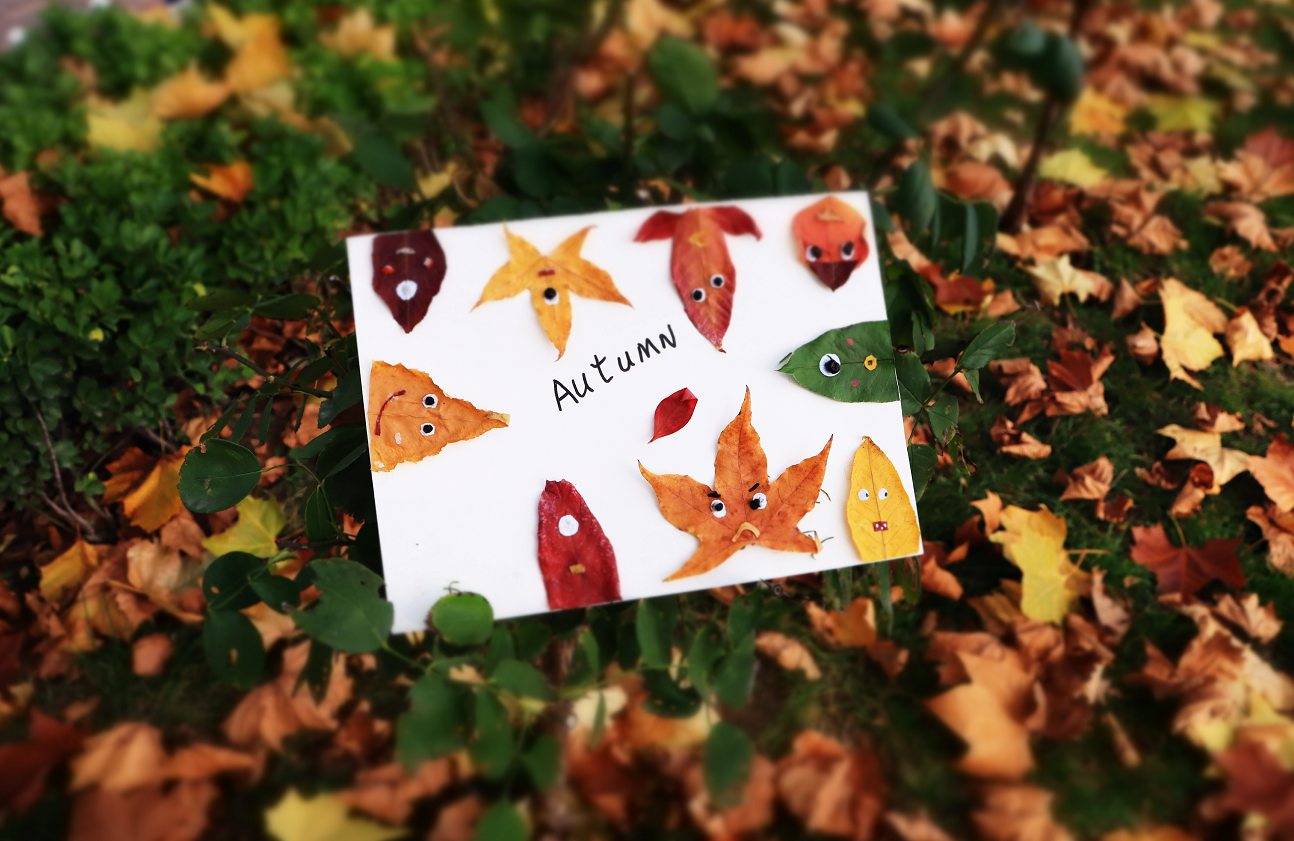 用秋叶拼出神态各异的小形象，衬着满地秋意，把秋冬里的鲜活情绪，藏进这帧俏皮的自然手作中。