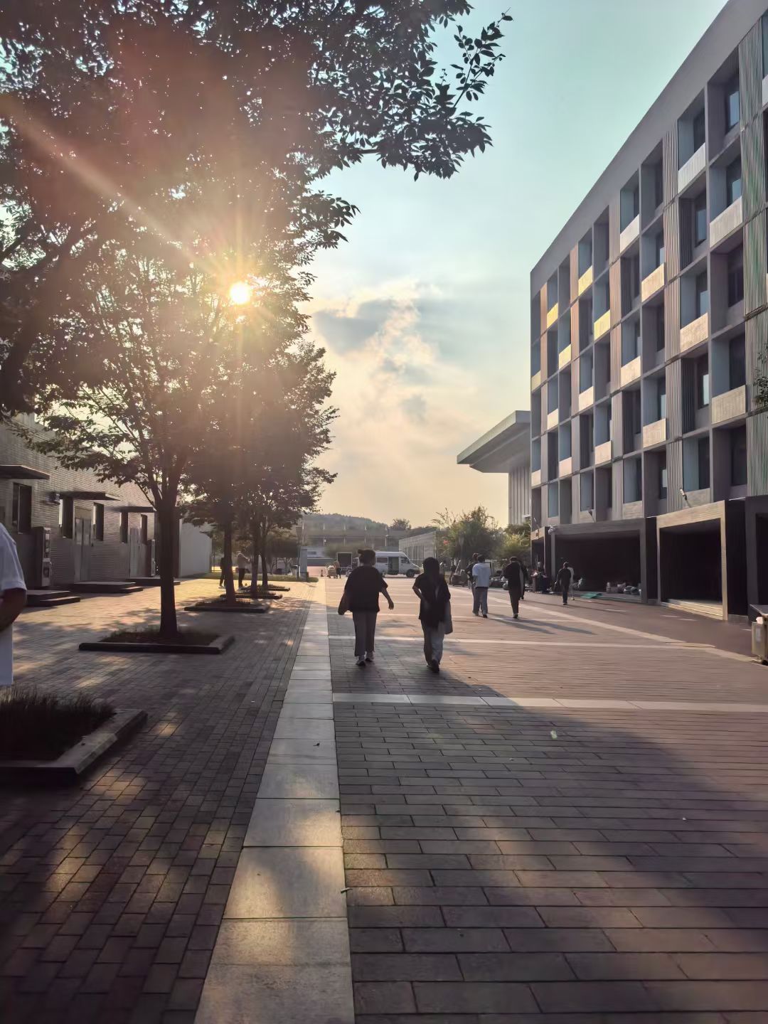 黄昏校园是课后偶然撞见的。阳光把树影拉得很长，行人并肩走着。那些被我们标注为“虚度”的时光，恰恰是生活递来的喘息机会。
