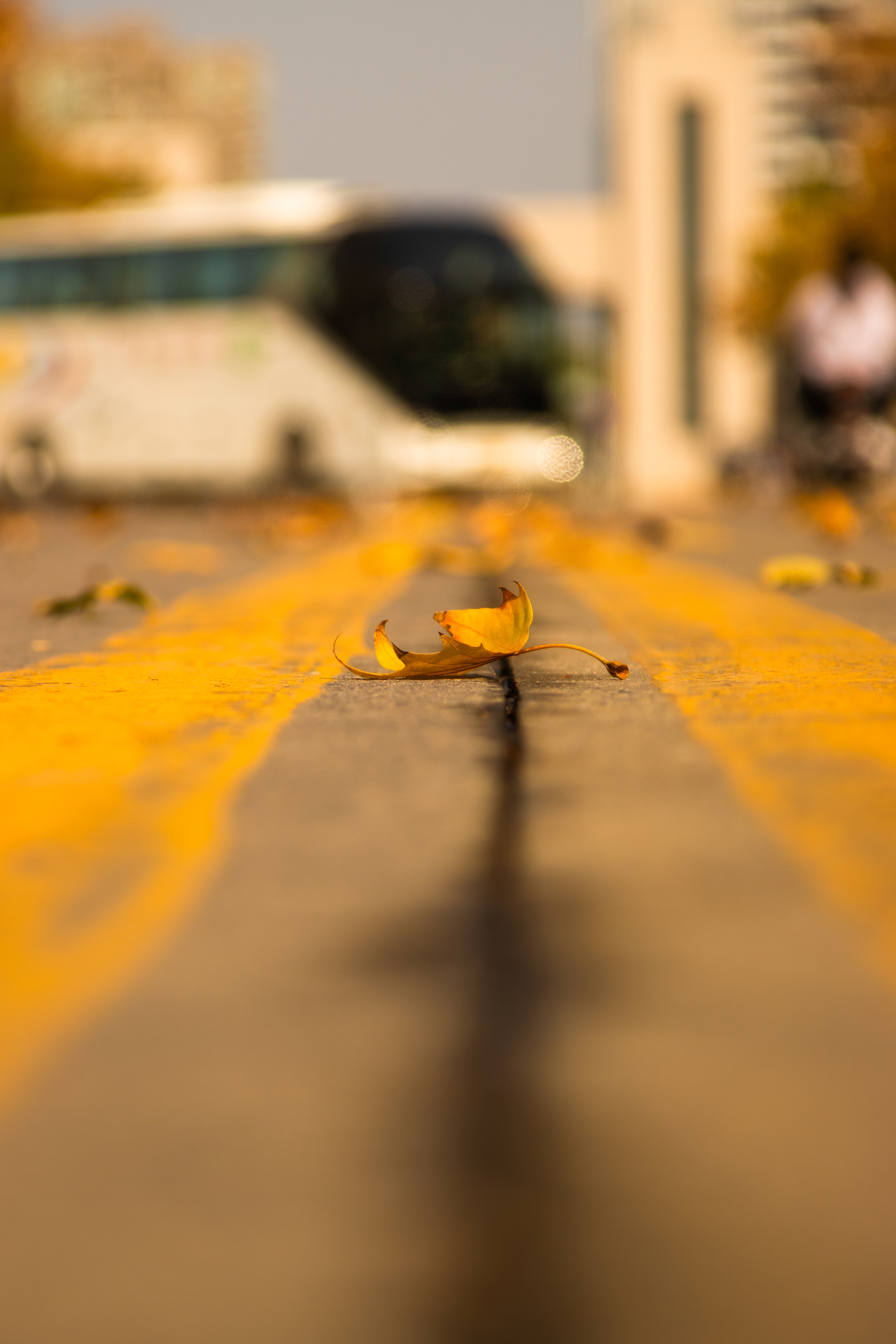 远处大巴缓缓掉头，在秋色尽头亮起尾灯。它并非作别天高云淡，而是用一声悠长的笛鸣，为银装素裹的冬天开启序章。
