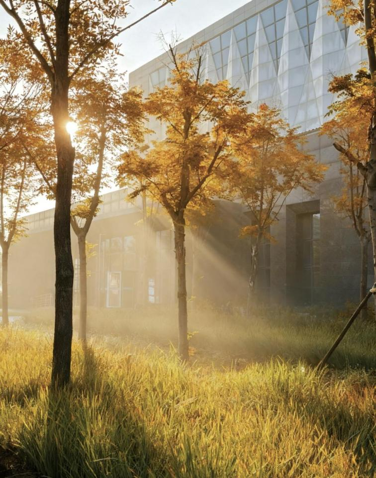 早晨挟着微冷的风走在去教室的路上，秋天的雾还没散，阳光穿过叶隙时，在草地上织了层金网。