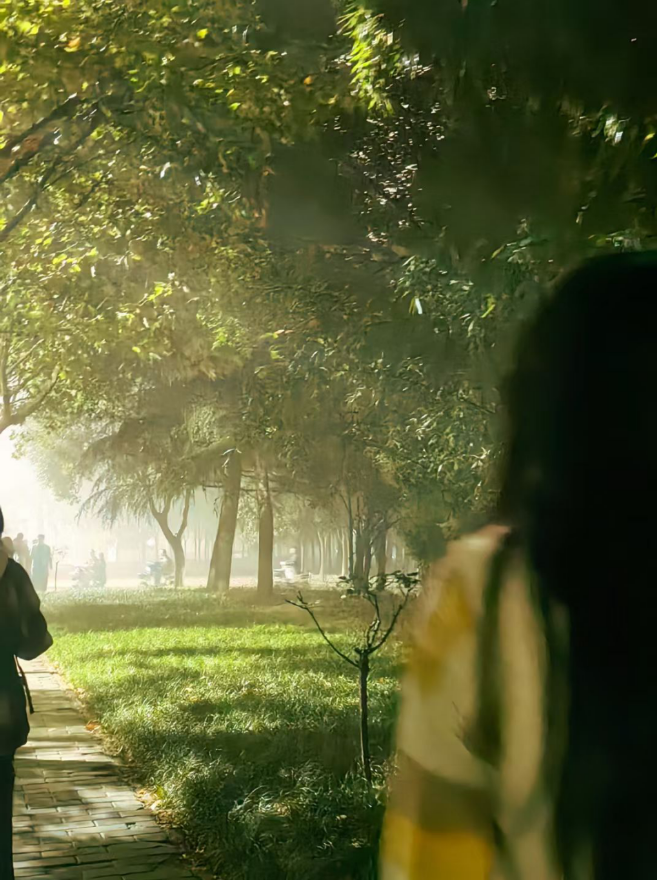 光漏过叶隙裹住步道，站在树荫里拍背影，风掀衣角时，忽然觉出：季节的浪漫，是陪你把日子走成光斑。