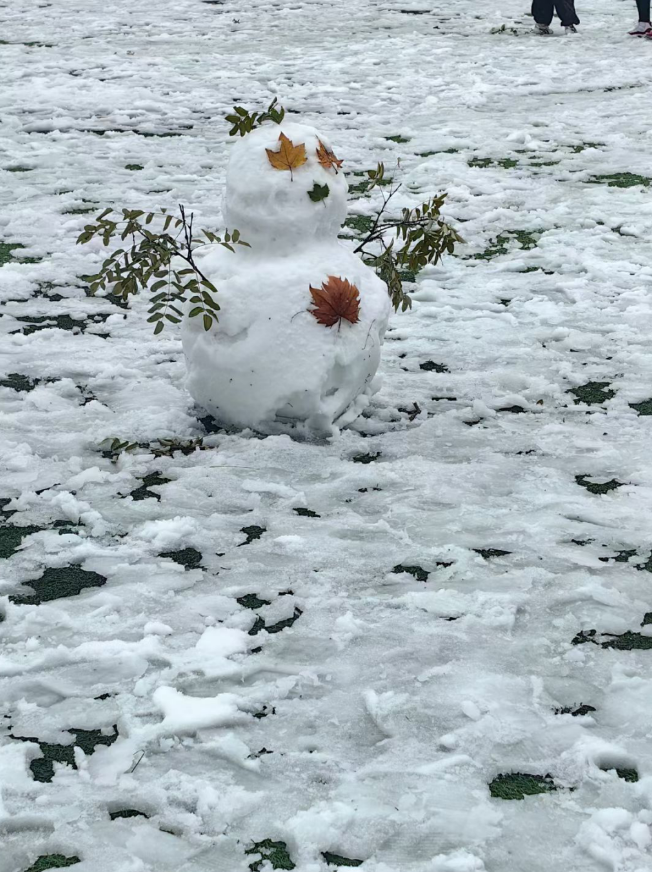 雪裹残枫堆成的小像，是秋冬撞个满怀的温柔。蹲在雪地里捏雪团时，风都轻了些，原来冷天也能攥出暖意。