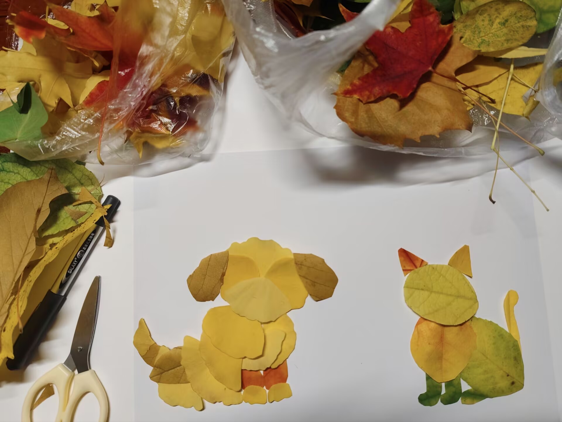 花束旁点缀憨态小狗与灵动小猫，象征陪伴、温暖与生机。即便秋冬万物宁静，生命的美好与乐趣，仍在身边静静相伴。