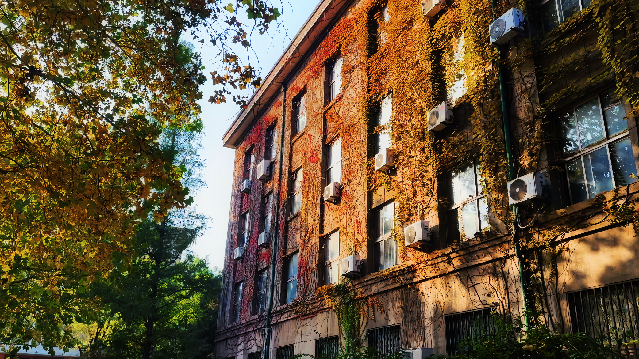 图二：老楼与藤蔓——坚韧里的生命礼赞
侧光下红橙藤蔓攀援斑驳老楼，枯荣迭代如成长轨迹，挫折淬炼生命坚韧底色。