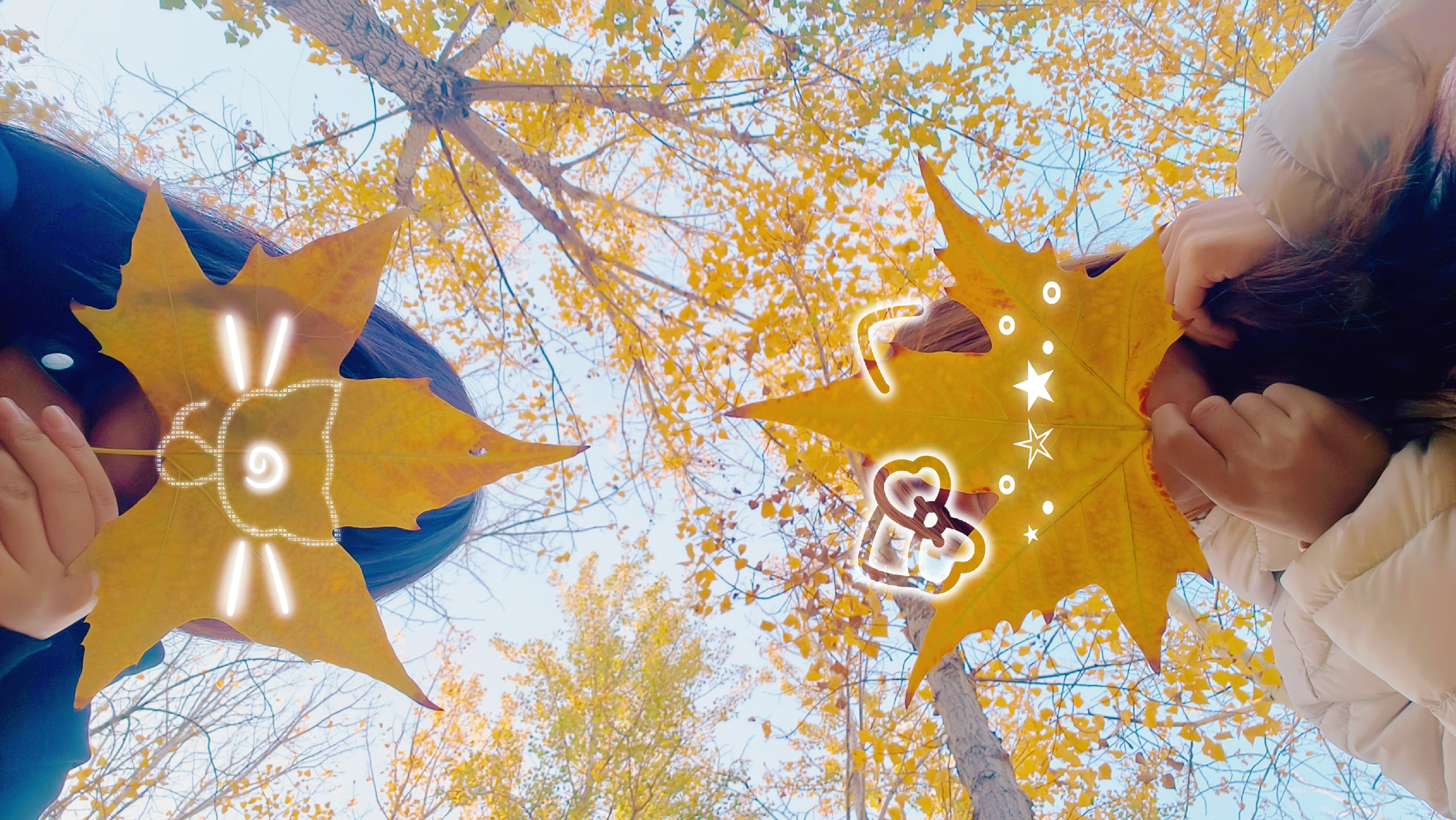  给银杏叶画表情包，和朋友比出“嗨”“笑”暗号，秋天的默契是和伙伴用叶片说悄悄话，可爱值拉满！