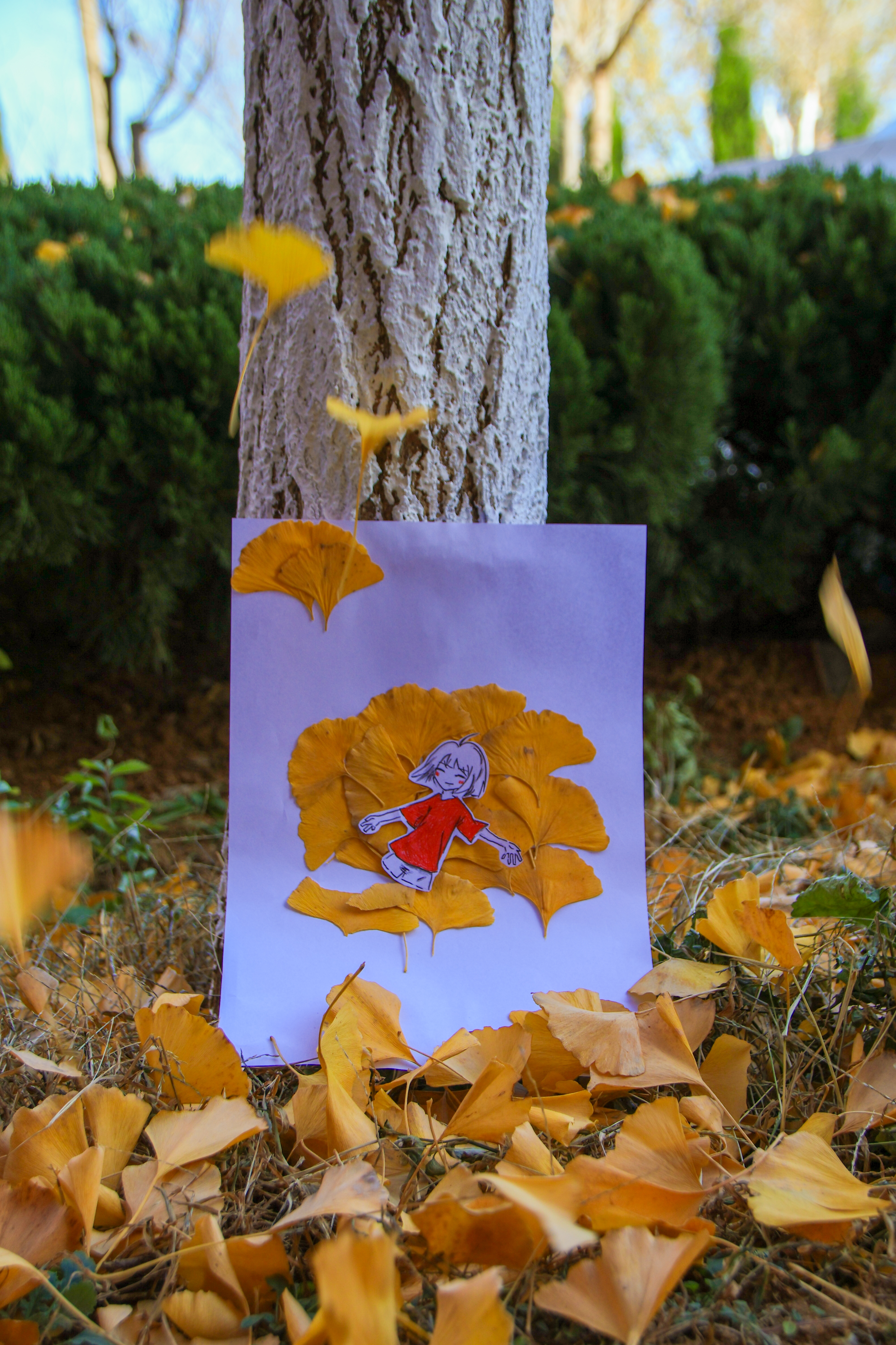 在金黄编织的梦境里，所有心事都能轻轻安放。