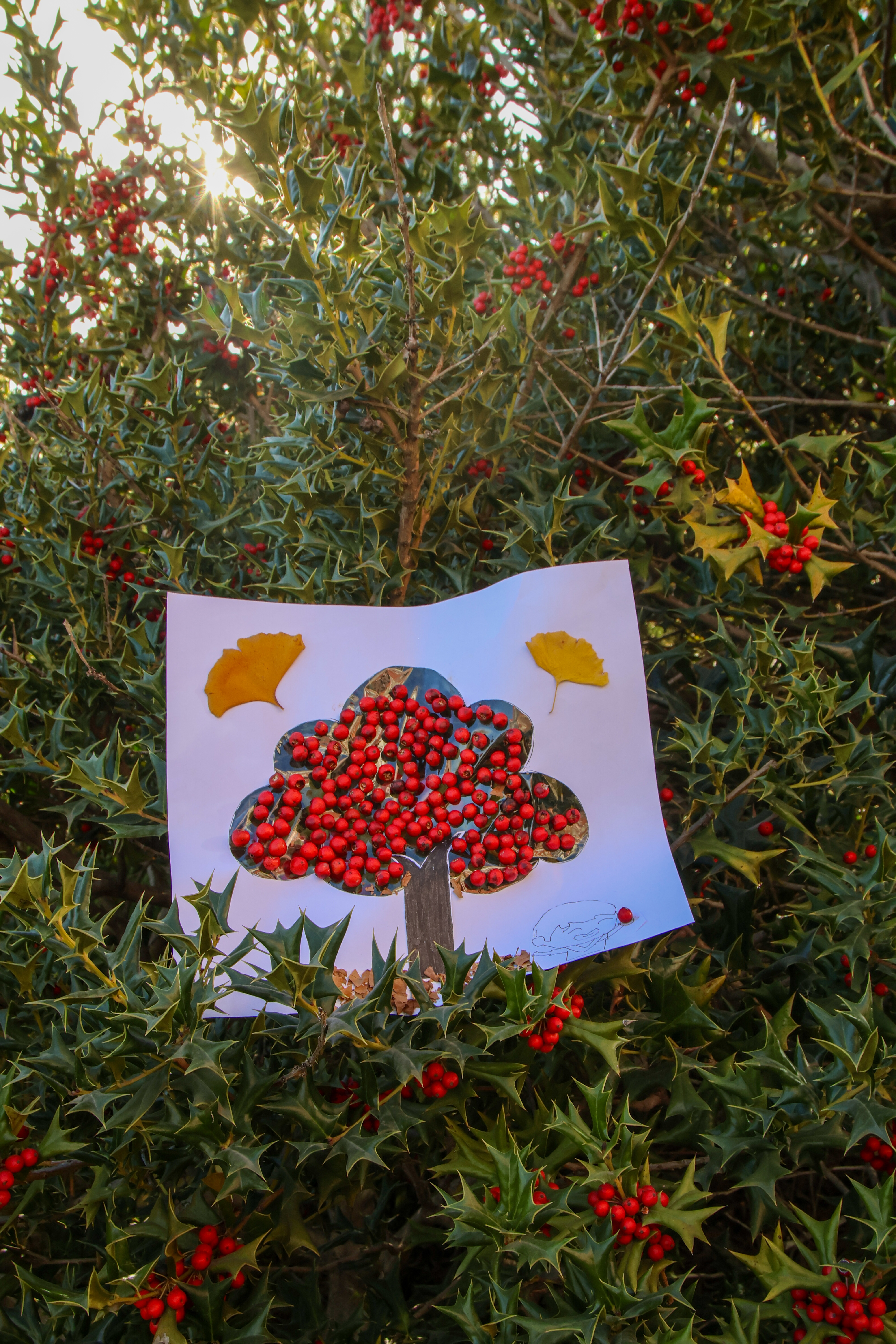 我们收获的不仅是眼前的秋实，更是内心深处那片永远向阳的精神家园。