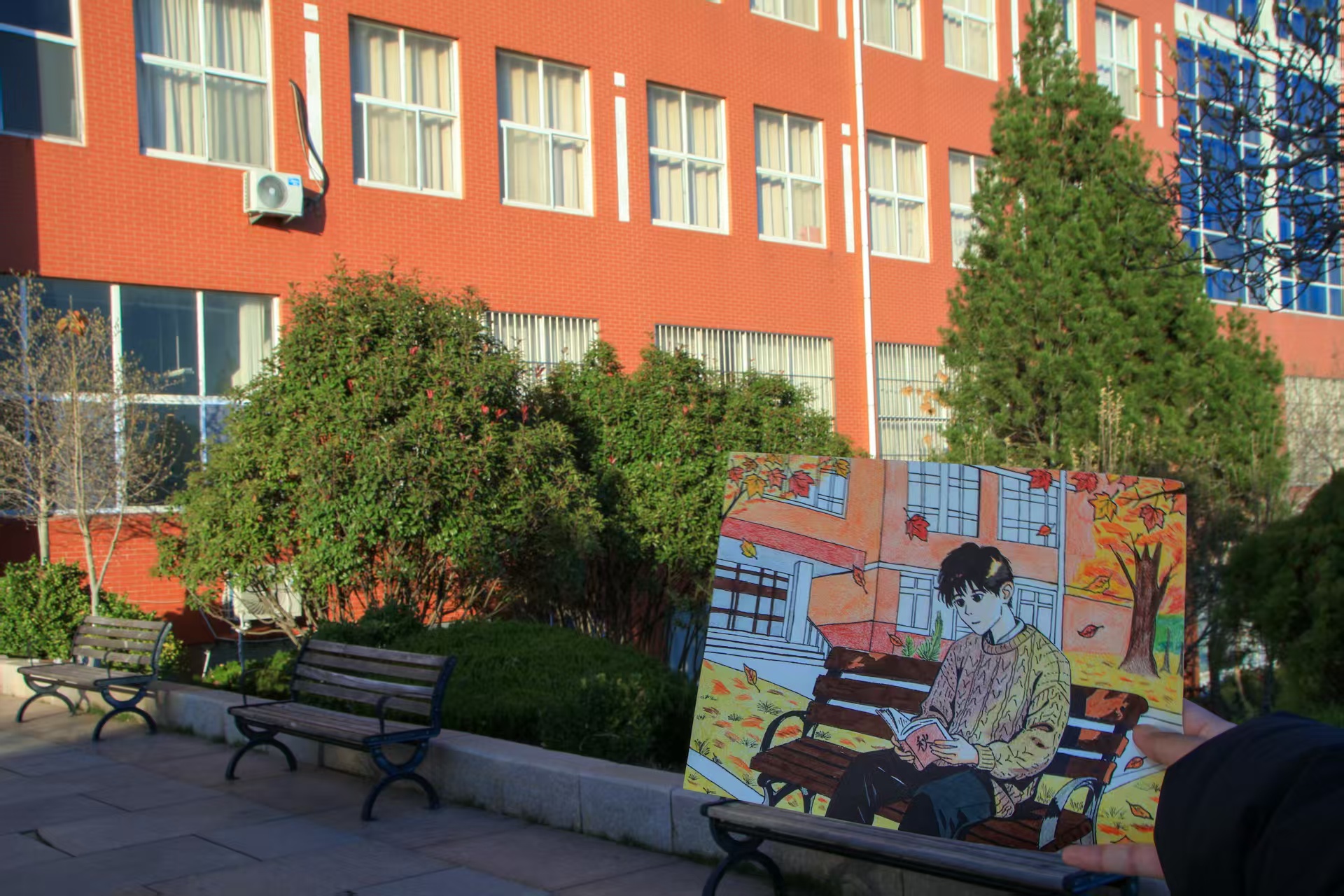 他拾起文字里的光，我们收获喧嚣世界中，那片属于心灵的沉静秋光。