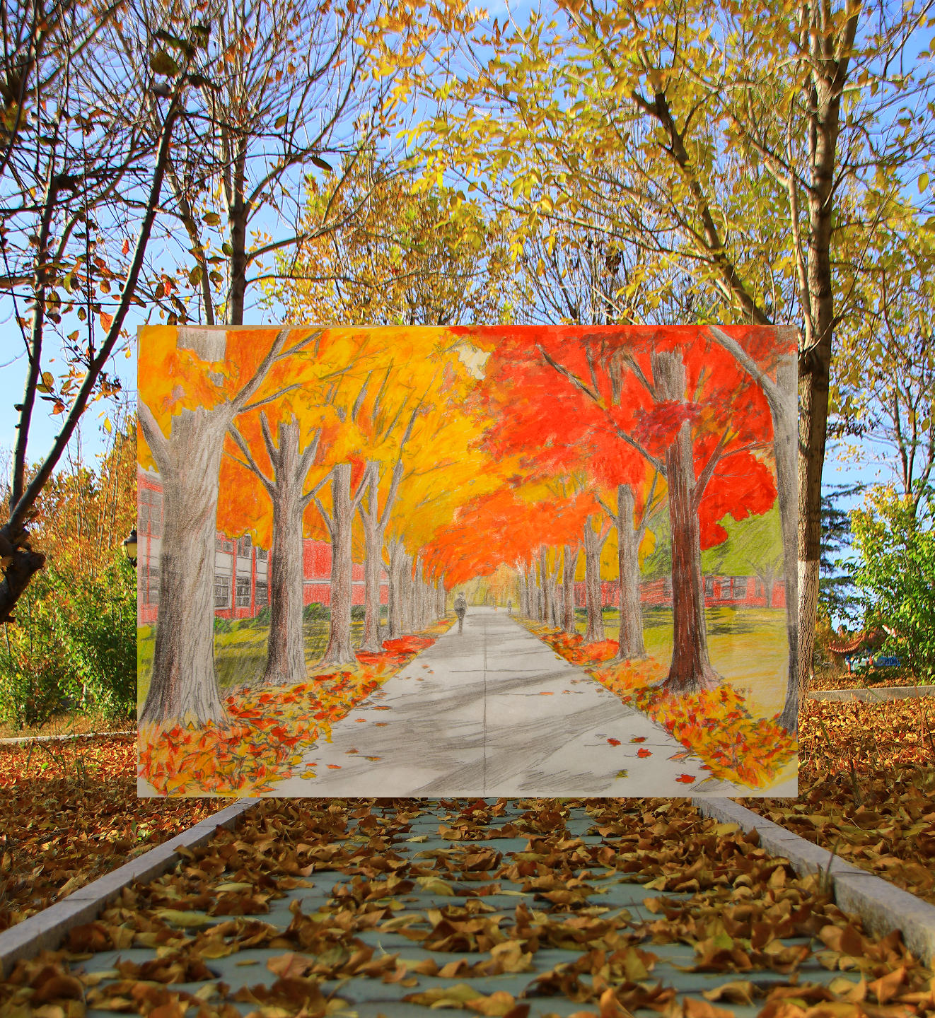 秋景的叠影，心灵的返璞归真，每一步都踩在时光的脉络上，见证飘零与重生永恒的圆舞。