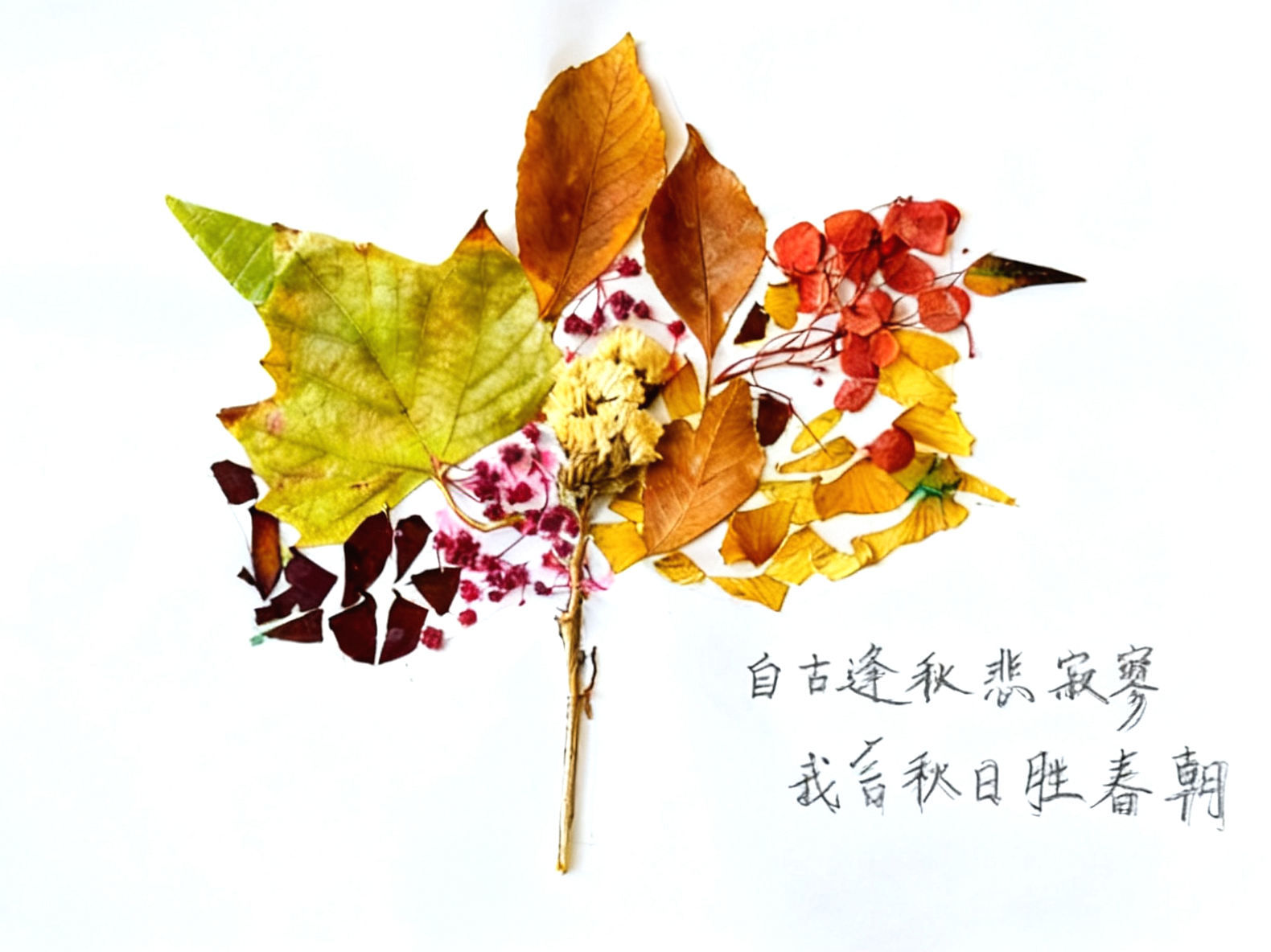形态各异的秋叶与繁花，精心拼贴成舒展的叶片模样。打破秋日寂寥刻板印象，让花叶之美与文字意境相融，尽显对秋日的别样偏爱。