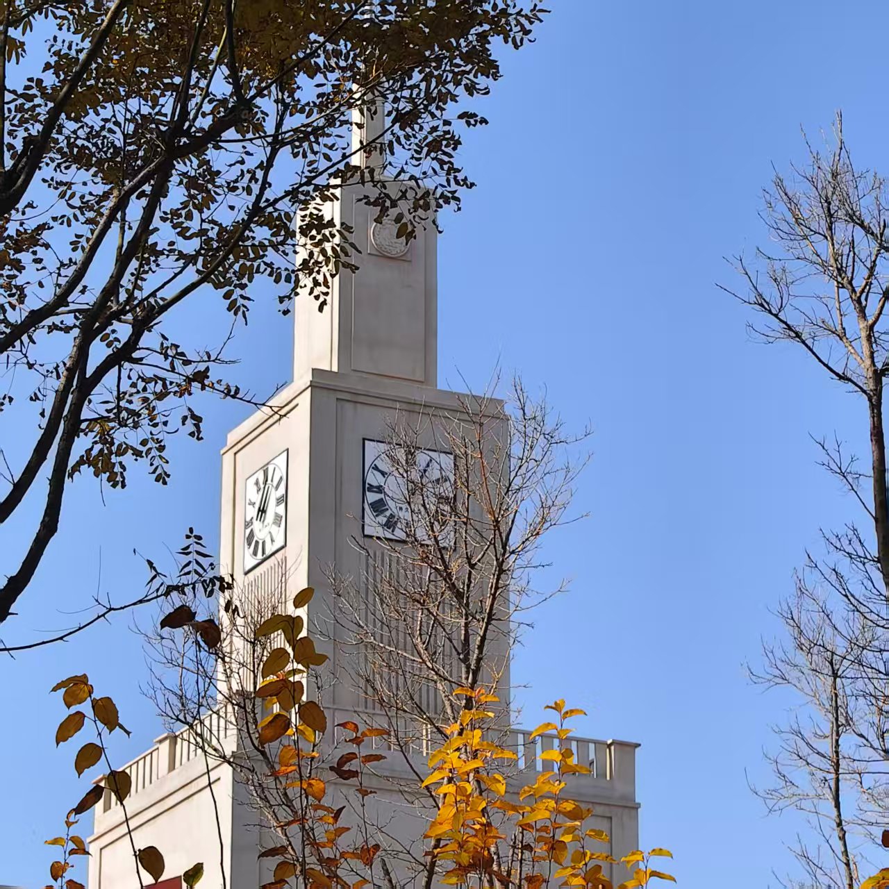 躲在树后拍钟塔：秋黄叶簇晃在钟面旁，风动叶摇时，钟面像揉皱的画，凌厉的时间忽然软下来。记录从非复刻，是把声与味揉进画面