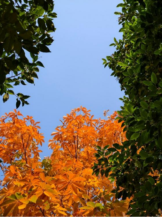 拿长焦拍落日时，正好闯入手牵手的两个人，这一刻，夕阳又成了他们爱情的注脚。
