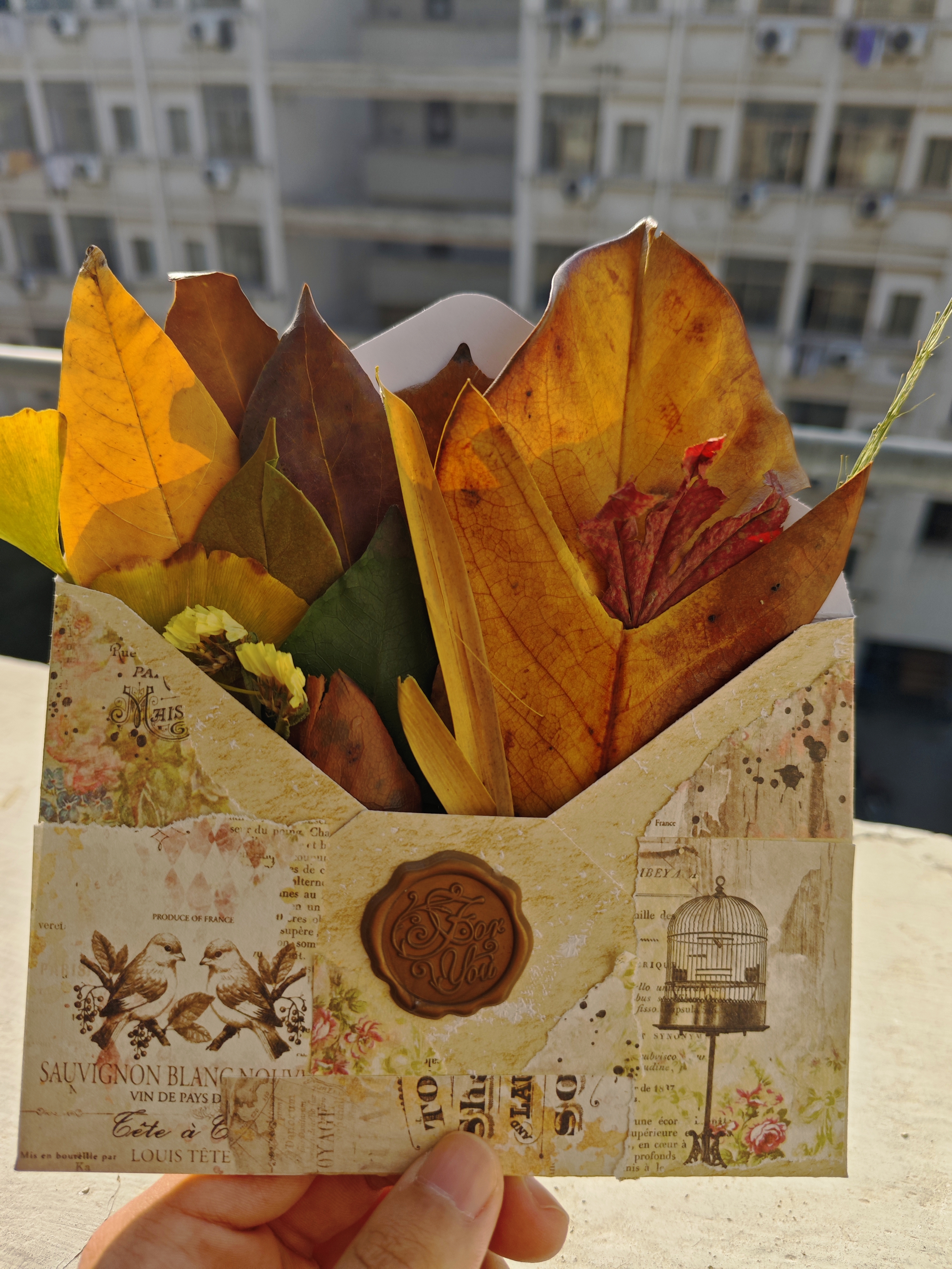 将揉碎的秋阳融于彩叶叠成的花束中，再把这束藏着明朗秋光的花束收进复古信封，最终将秋日诗意在别致的秋日邮封里得以珍藏。