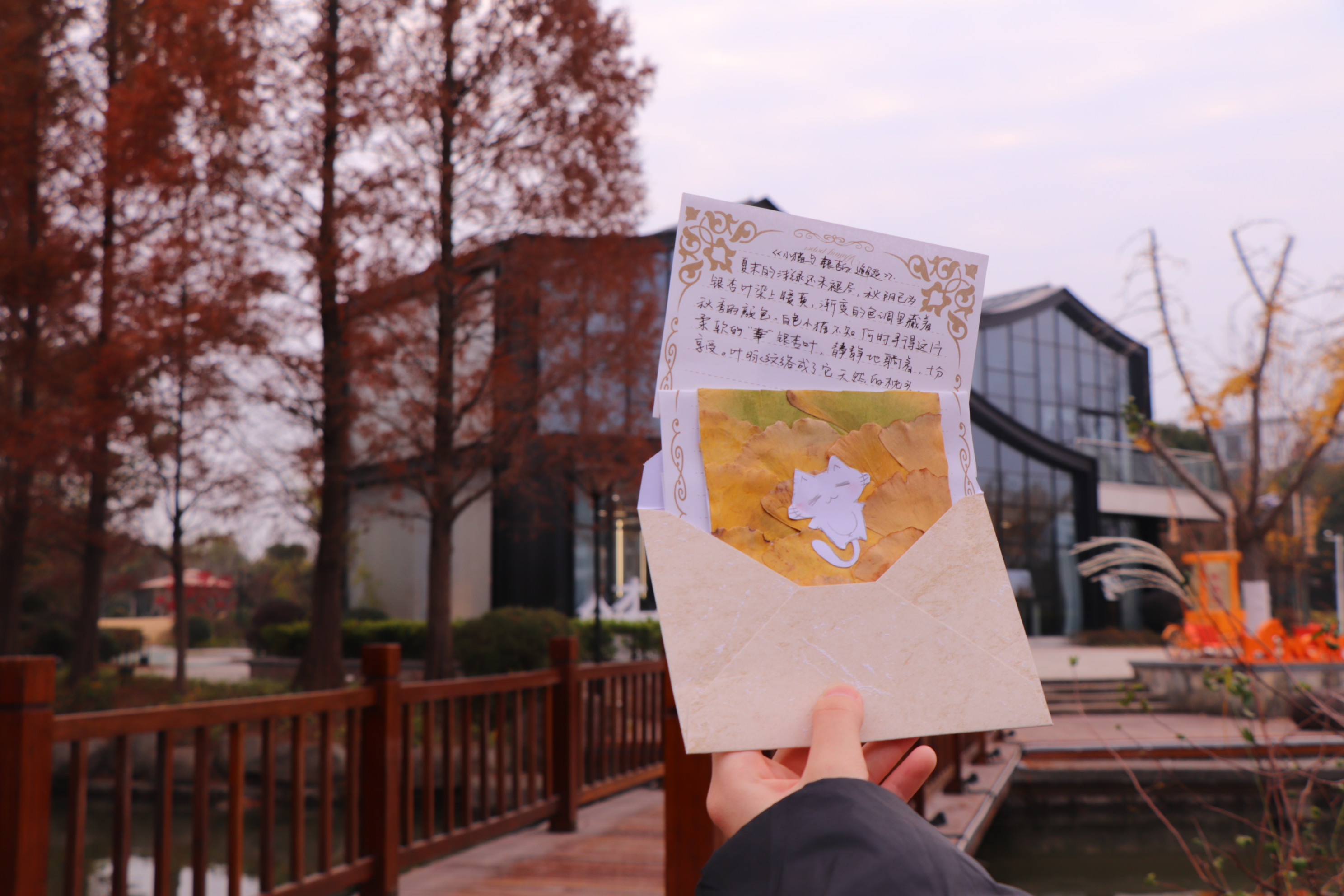 银杏叶作底，信笺载着温柔絮语，将湖州师院的秋意揉进纸笺，藏起一段软乎乎的校园秋日情。