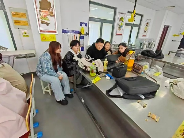 图片8