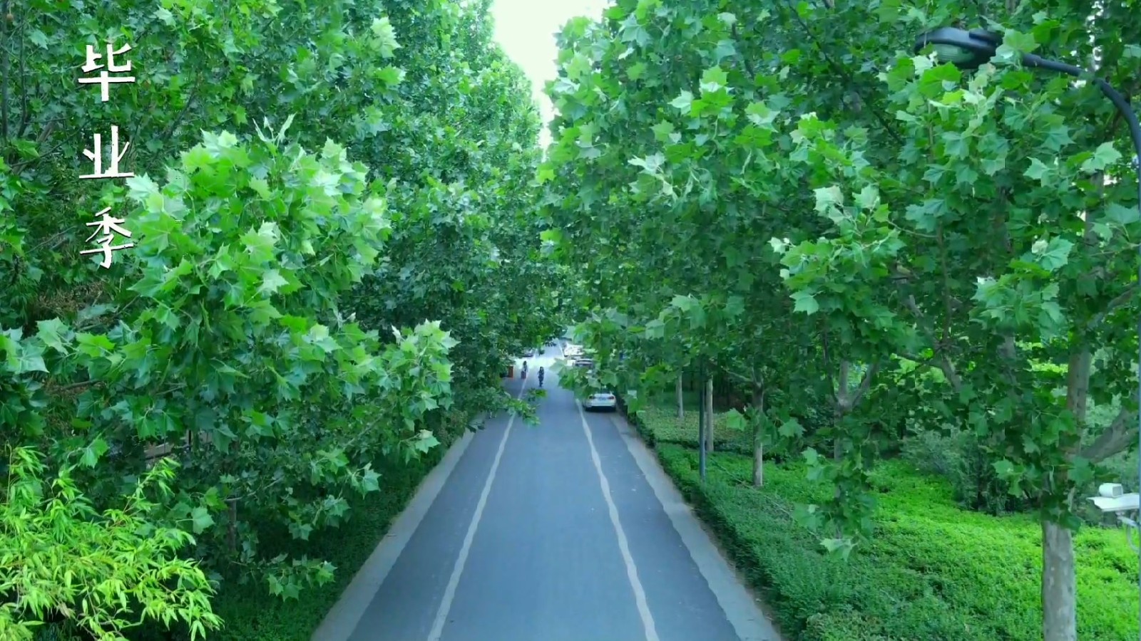 图为河南农业大学龙子湖校区俯瞰图。中国青年网通讯员 李俊畅 供 .jpg