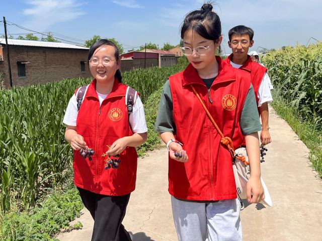 【三下乡】研学之旅 从葡萄园到番茄小镇——“寻源溯流·青春助航”调研寻访团