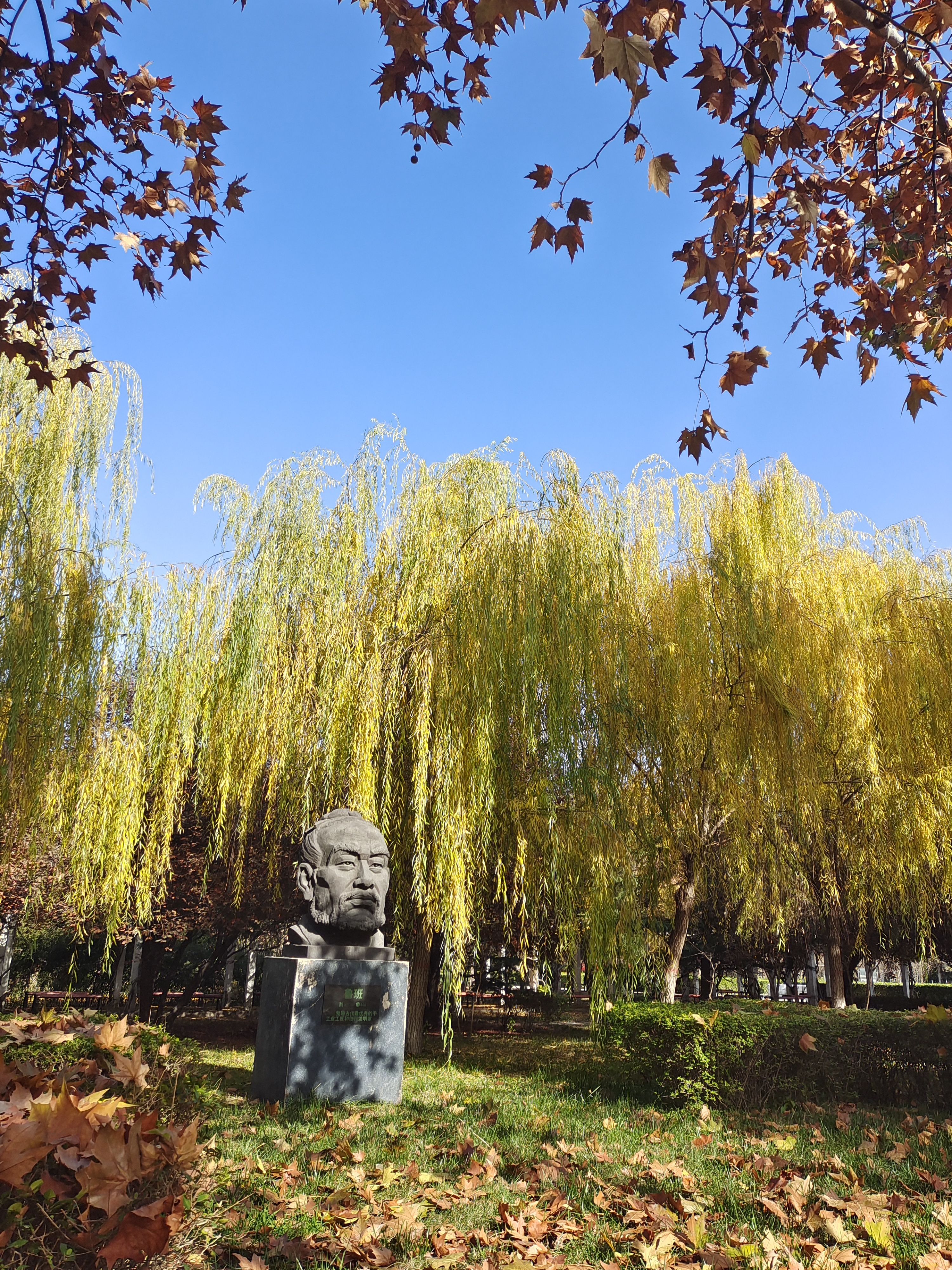 温暖、坚定、不断向上