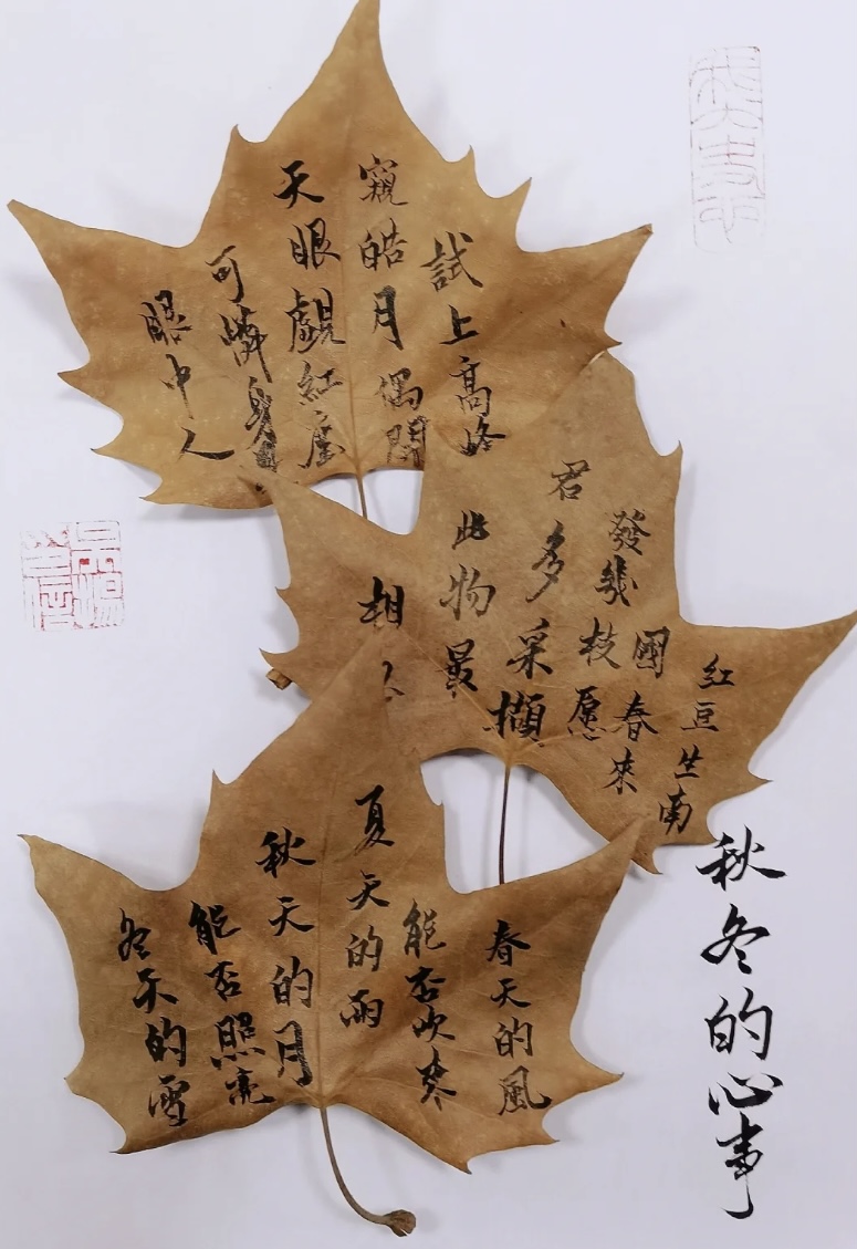 从来银杏不负秋，于校园中拾起银杏与梧桐的落叶用毛笔在叶子上写下秋冬的心事
