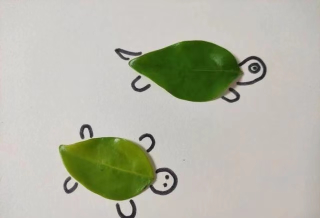 两只乌龟爬行虽慢，但他们坚持不懈向终点的大门奋力前行，用生机勃勃的树叶作为他们的壳，为他们加油打气争取早时实现他们的目标