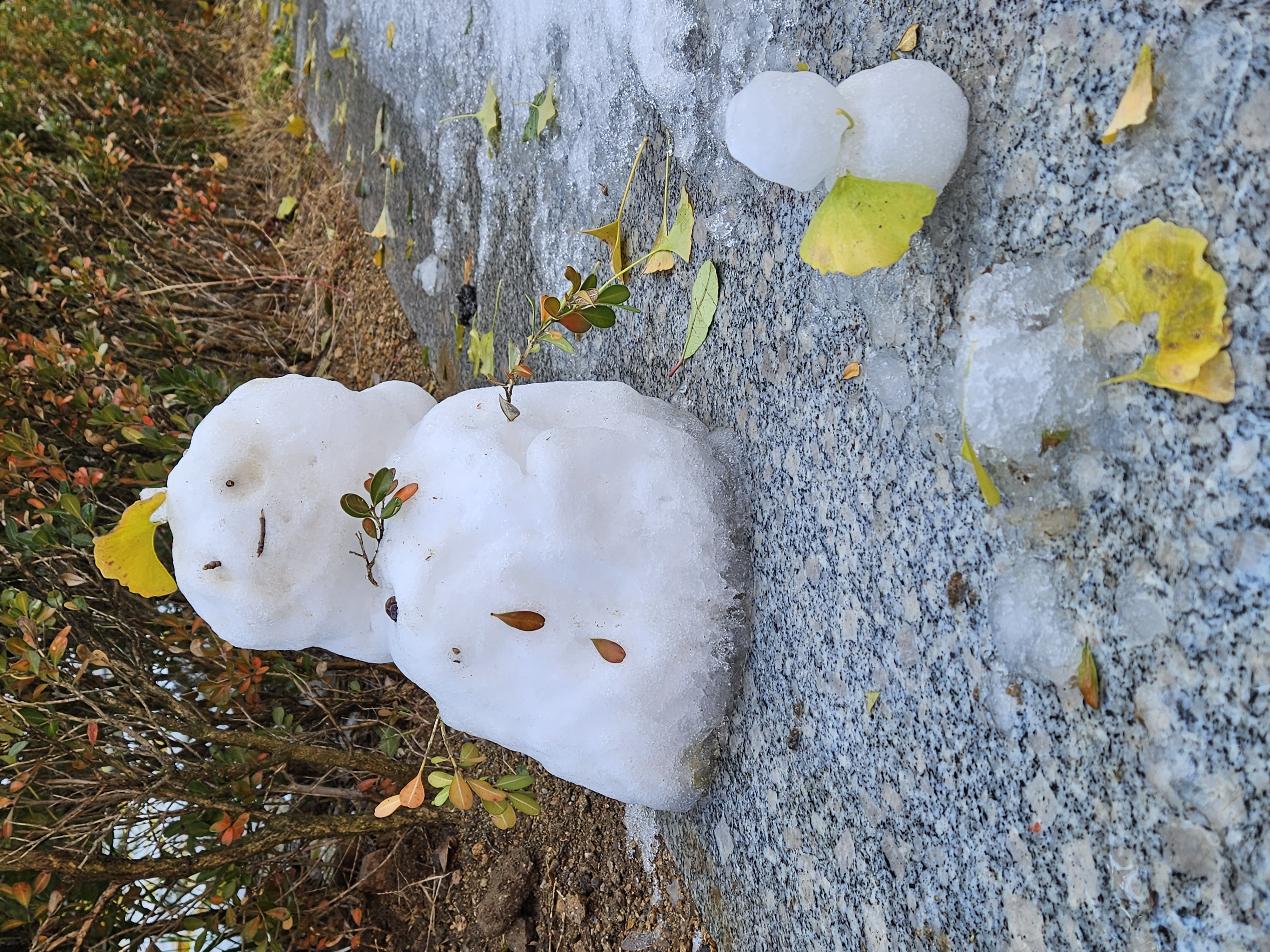 雪后美丽的雪人