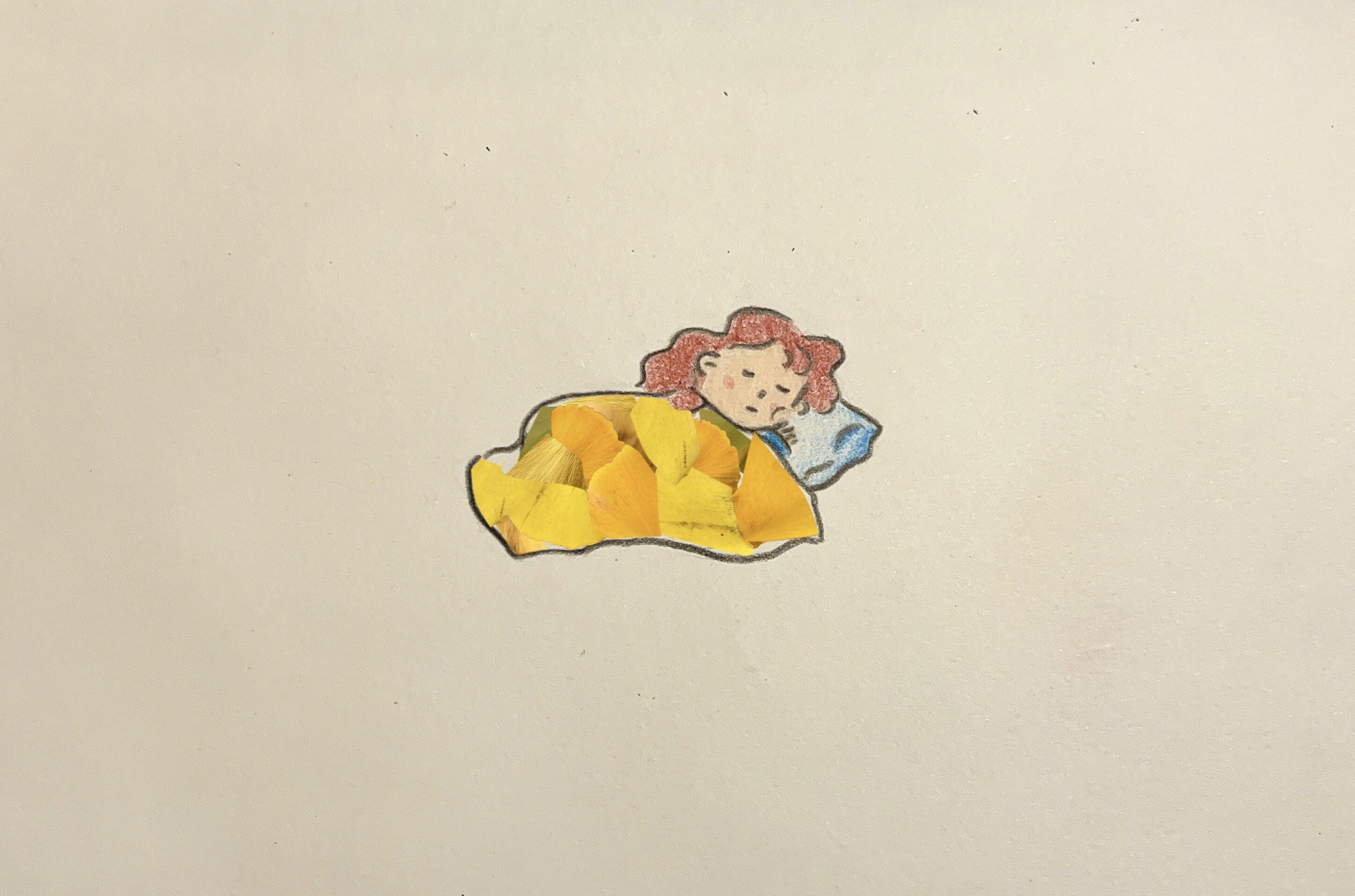 这是一场梦，一场浪漫的梦，一场关于银杏的梦，而我正在甜美的梦乡中酣睡。