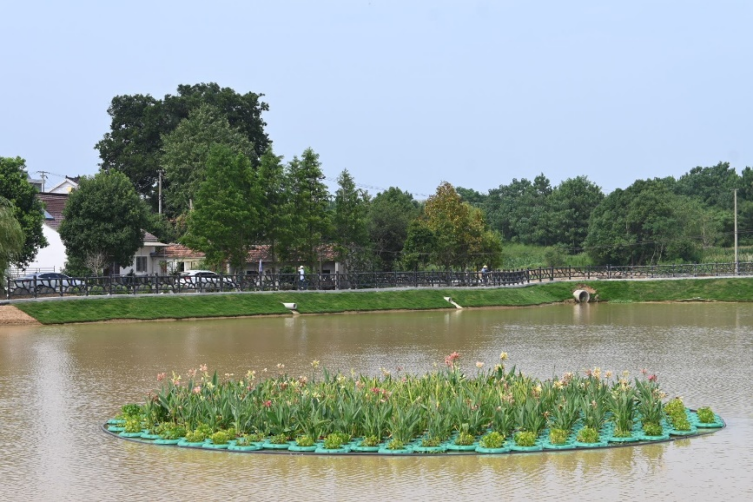 图为寒亭镇天门村村景 通讯员 黎旦媚 摄.png