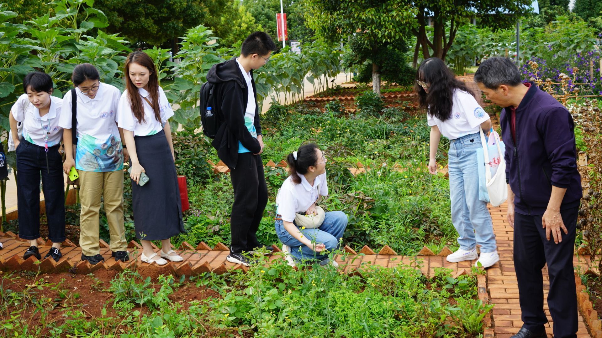 7月12日华中科技大学基础医学院实践队走入昆明中药厂有限公司,参观