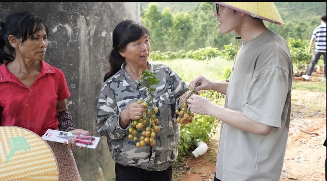 实践团成员对黄皮的种植技术、经营管理、市场销售、面临的问题与挑战等情况进行了全面的调研和分析。