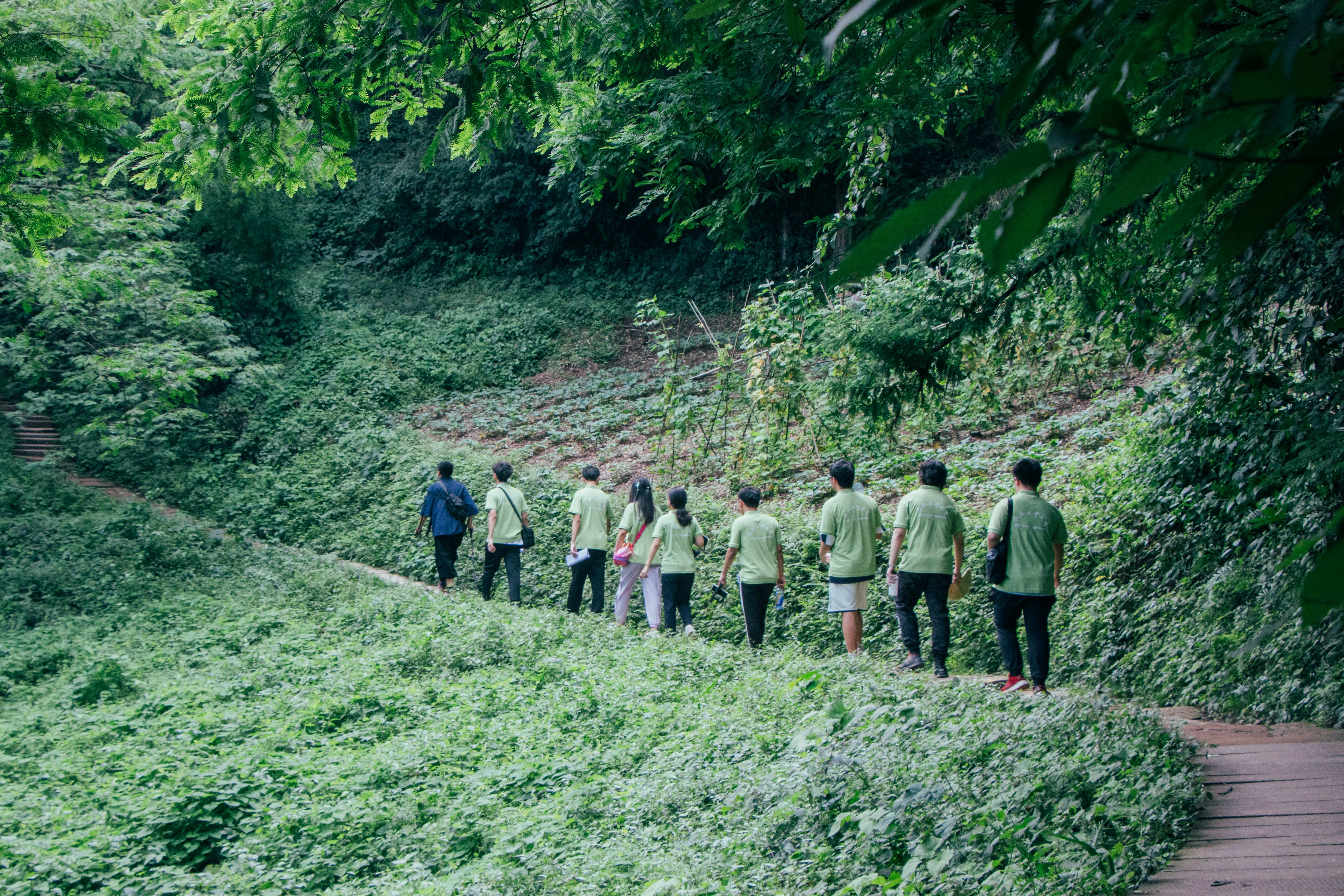 实践团队前往青城山途中