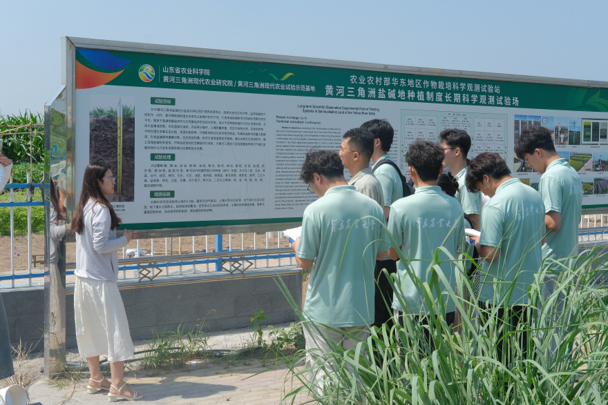 图为实践服务团在省农科院黄河三角洲现代农业研究院调研参观.png