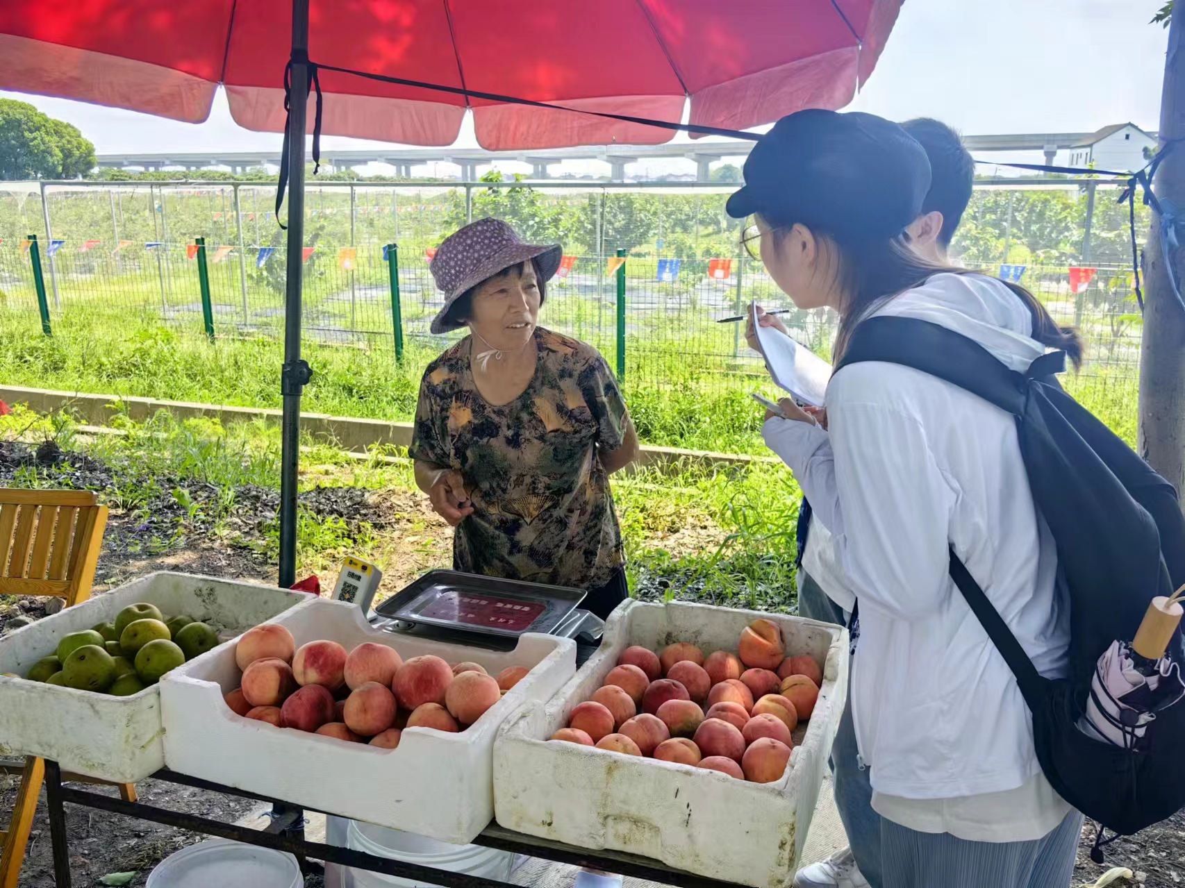 图为团队成员在北联村向村民进行问卷调查并记录交流内容 许陆瑶 摄