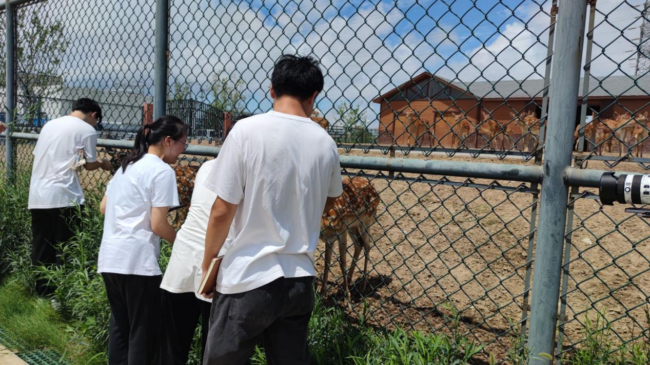 图为徐圩港区生态园参观调研。万成华供图