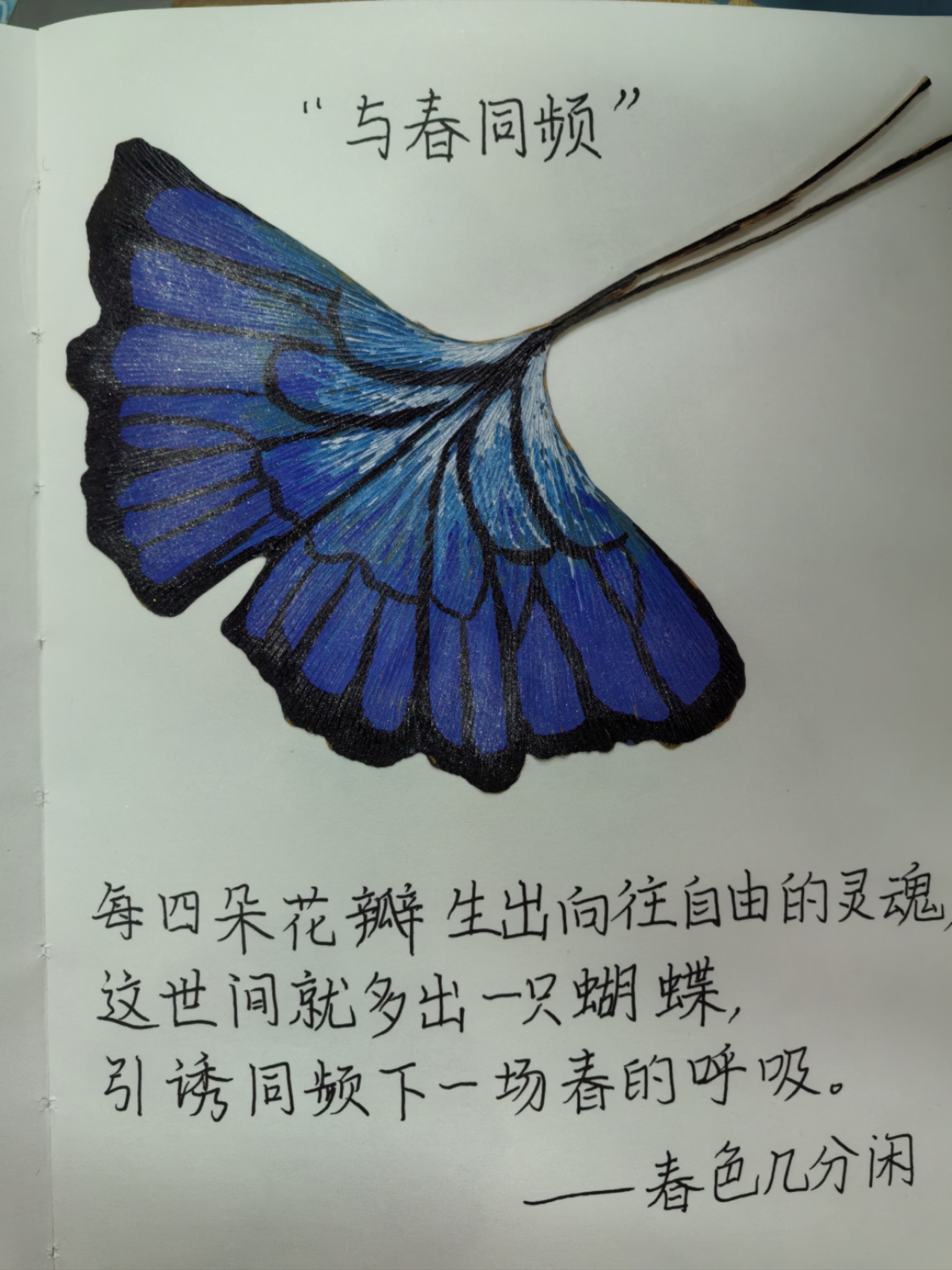 每四朵花瓣生出向往自由的灵魂这世间就多出一只蝴蝶,引诱同频下一场春的呼吸。
--春色几分闲