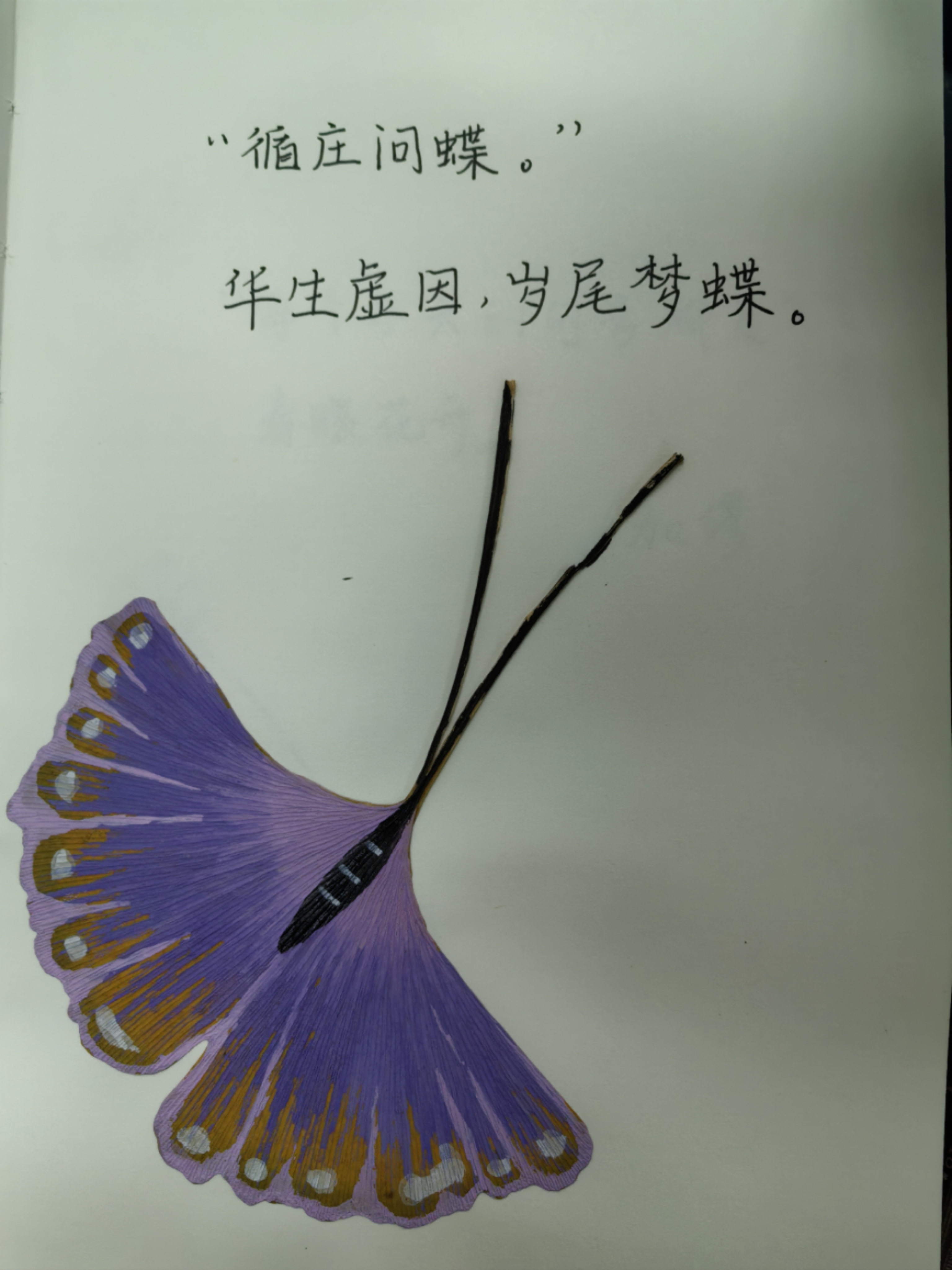 华生虚因，岁尾梦蝶。