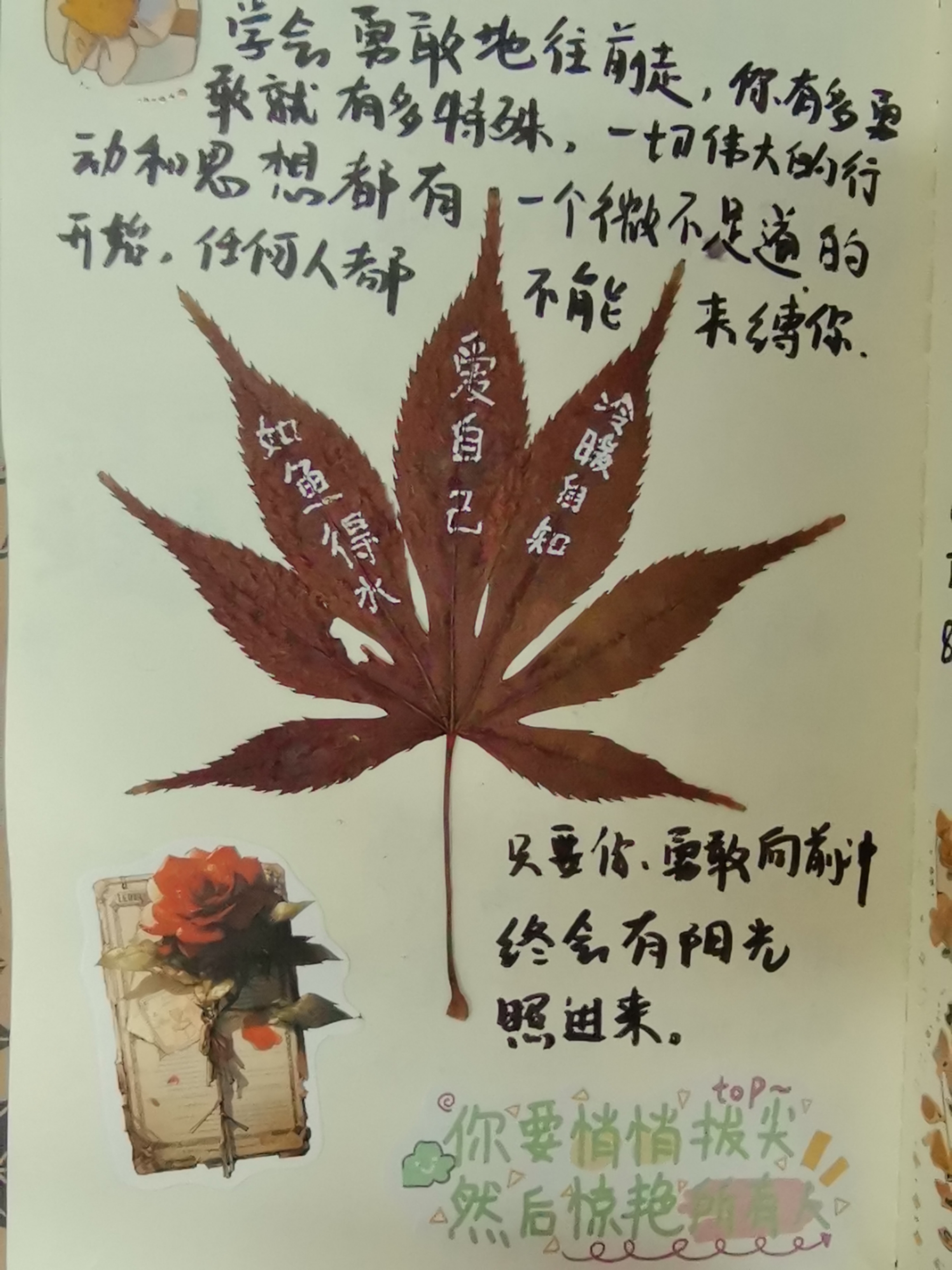 只要你勇敢的往前冲，终会有阳光照进来。